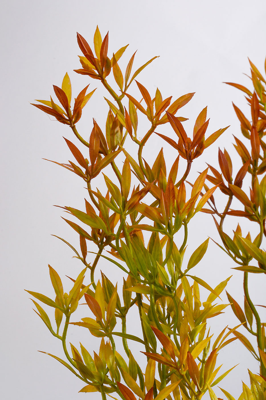 24" Bamboo Leaf Bush Orange/Yellow