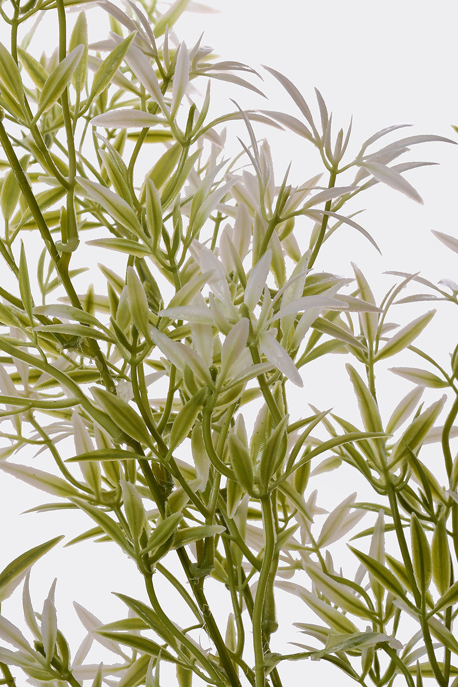 24" Bamboo Leaf Bush White/Green