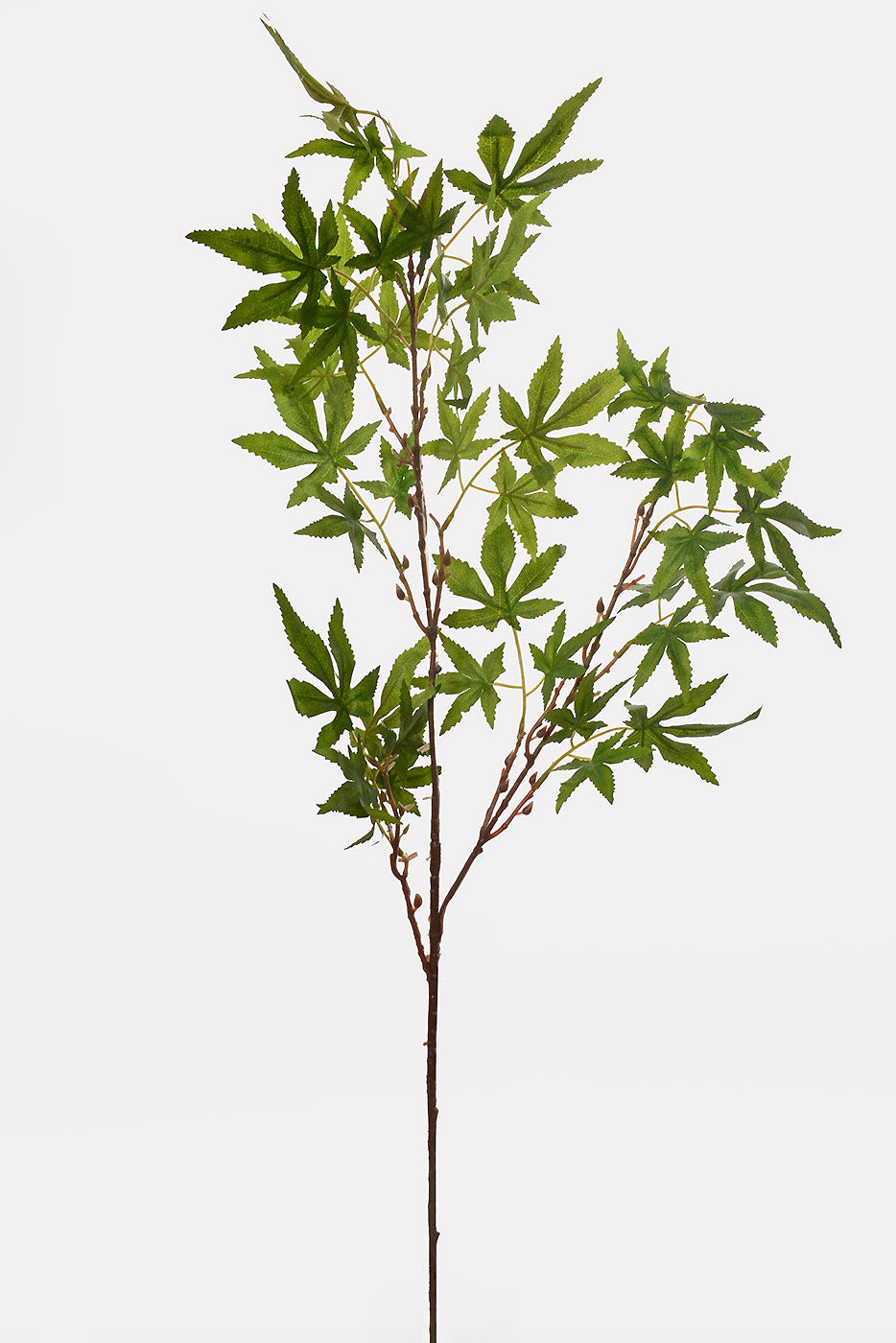 38.5" Maple Leaf Branch Green