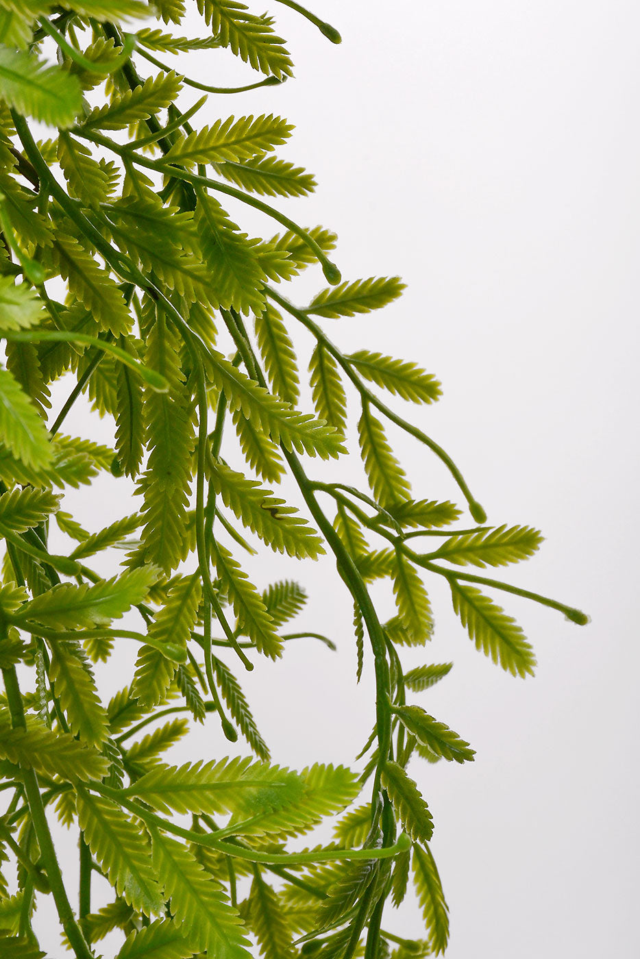 38" Smilax Hanging Bush Green