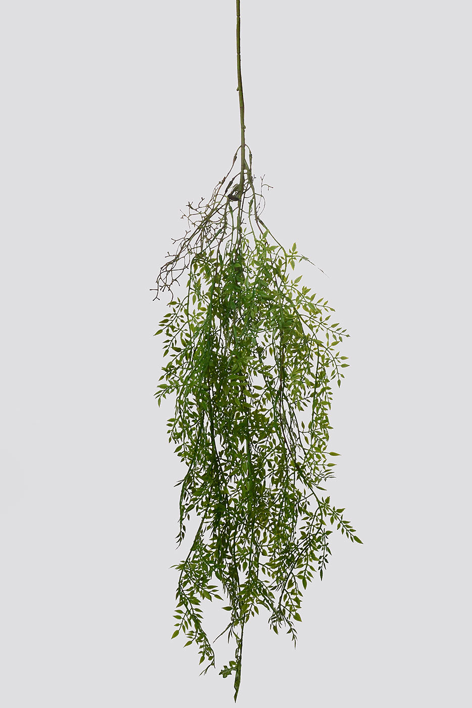 38" Small Pea Leaf Hanging Bush Green