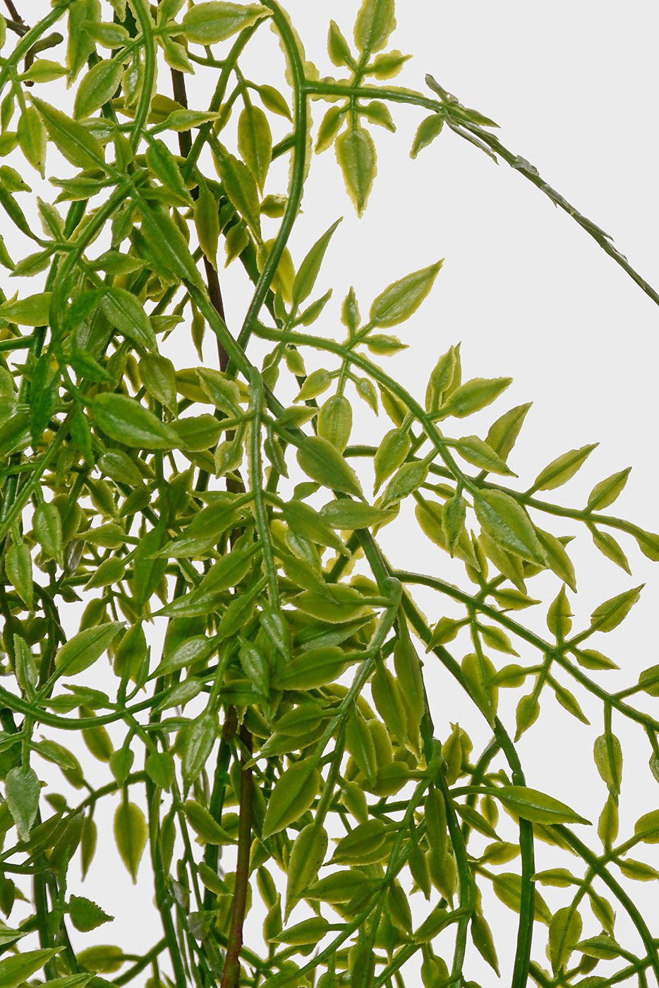 38" Small Pea Leaf Hanging Bush Green