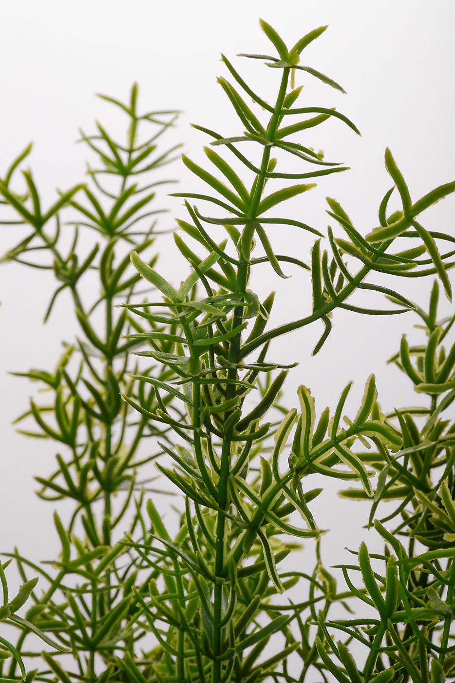 19" Artificial Rosemary Bush Green