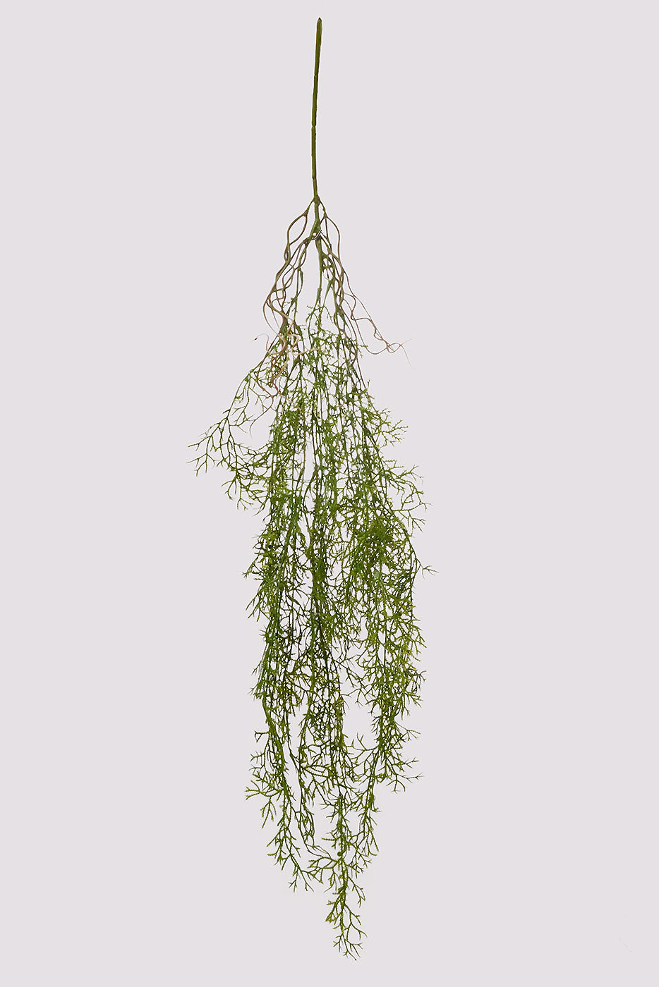 40" Cedar Hanging Bush Green