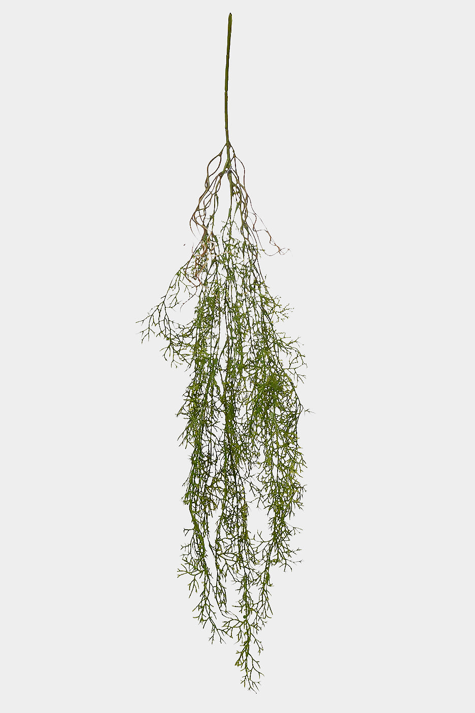 40" Cedar Hanging Bush Green
