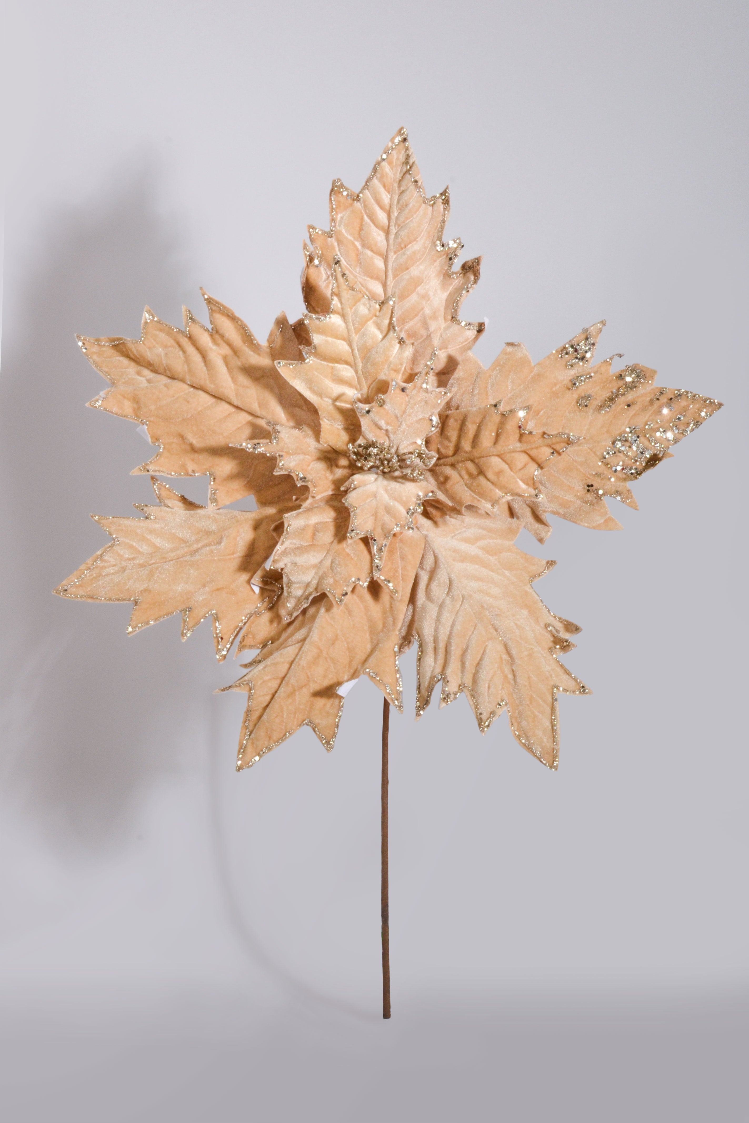 34" Poinsettia Stem Champagne