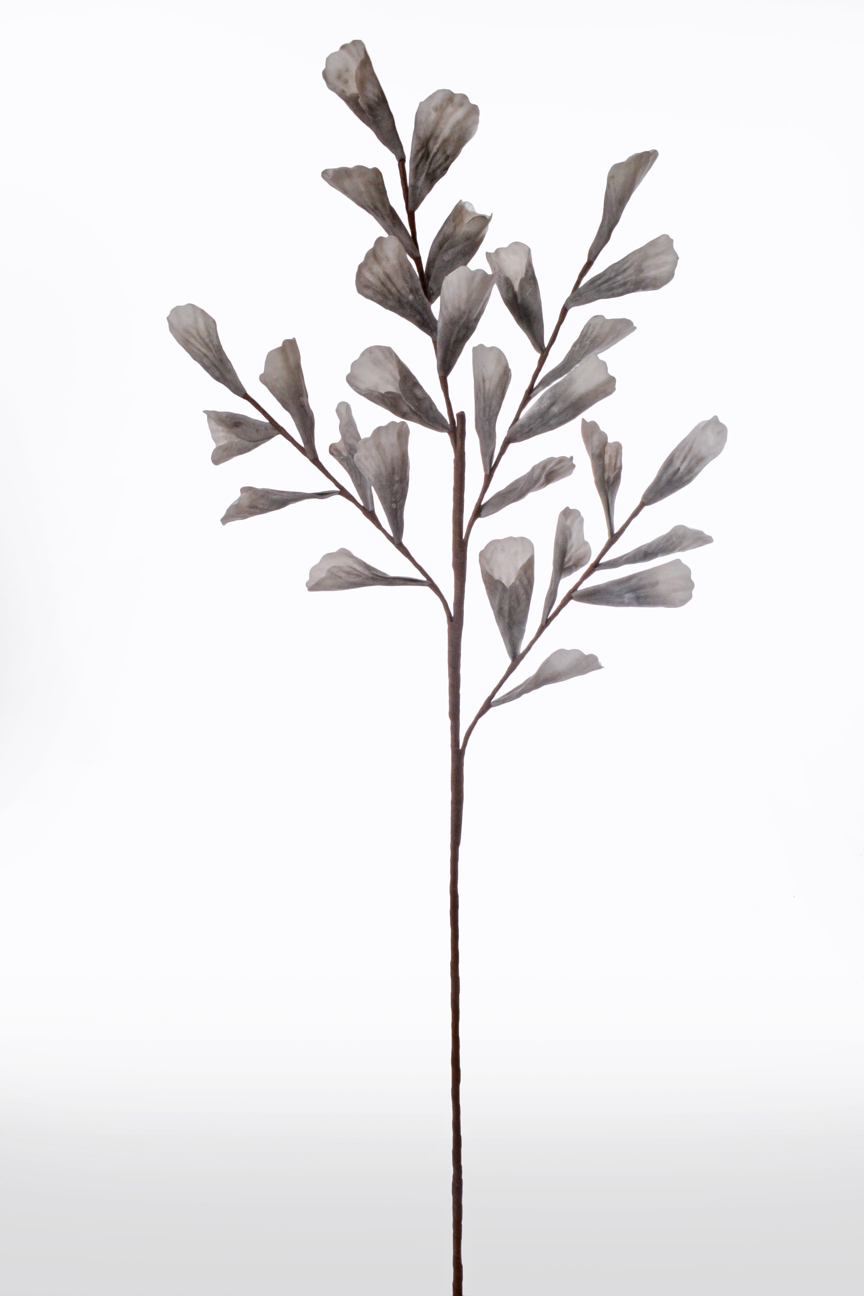 43" Shell Leaf Spray Grey