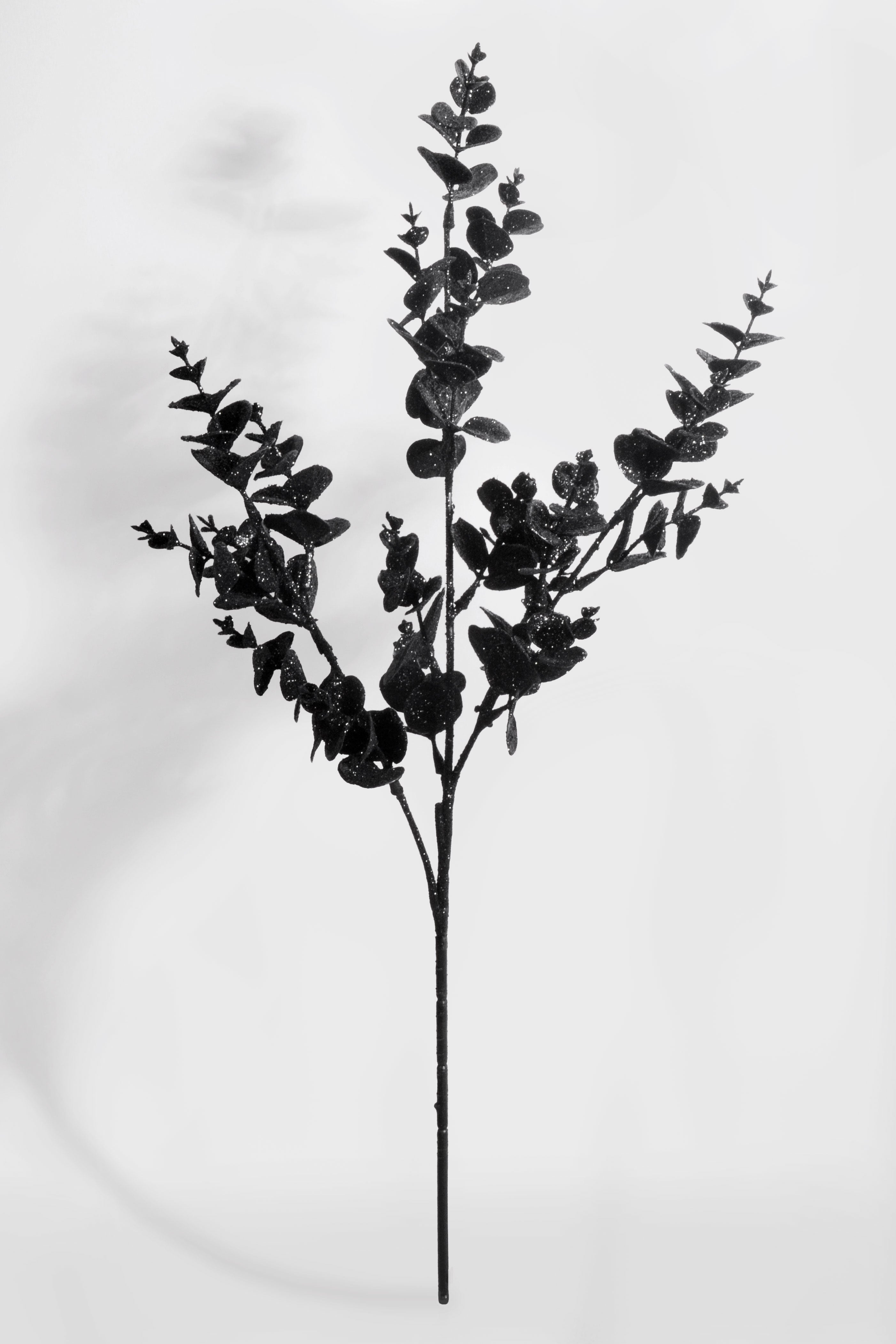 31" Glitter Eucalyptus Spray Black