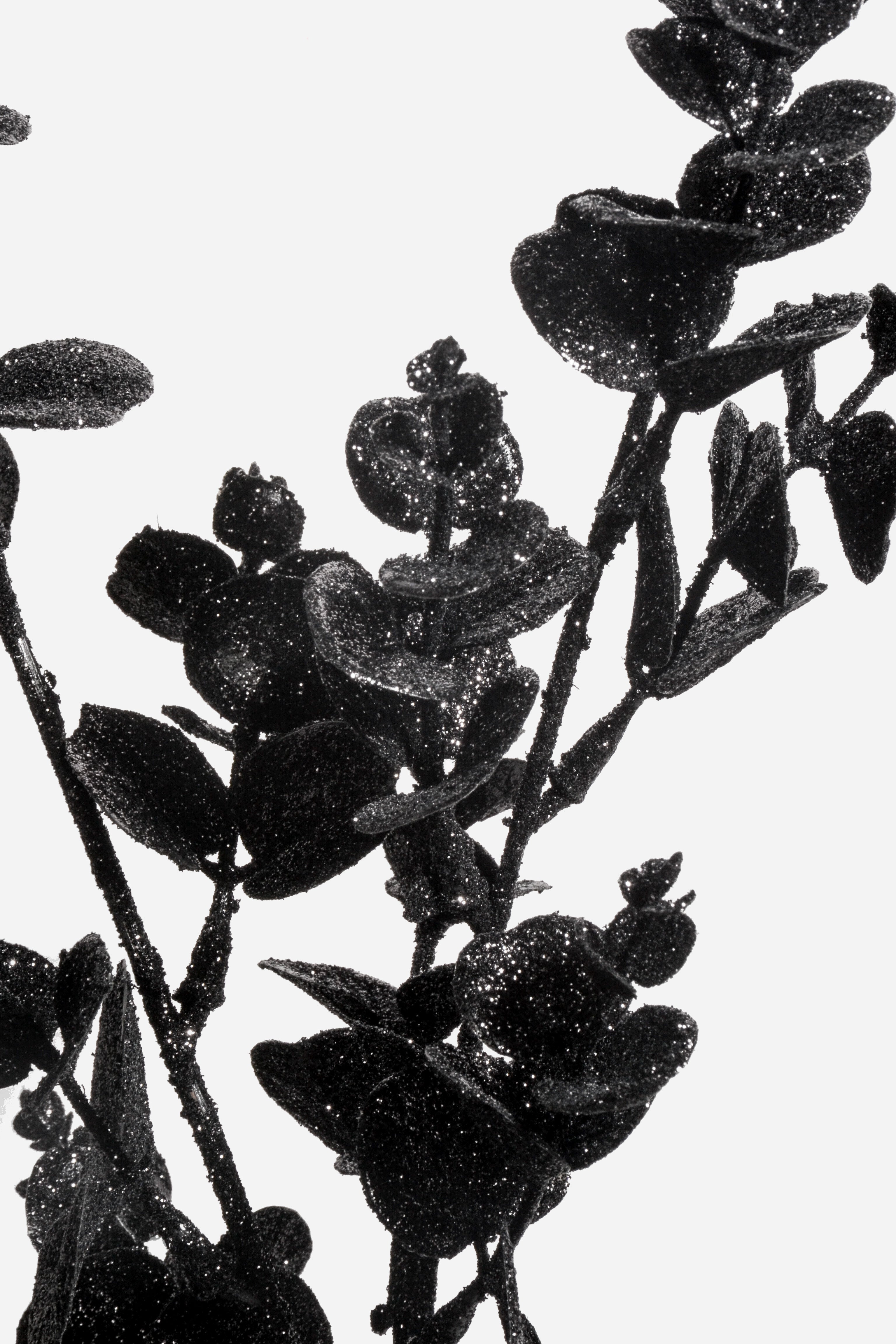 31" Glitter Eucalyptus Spray Black