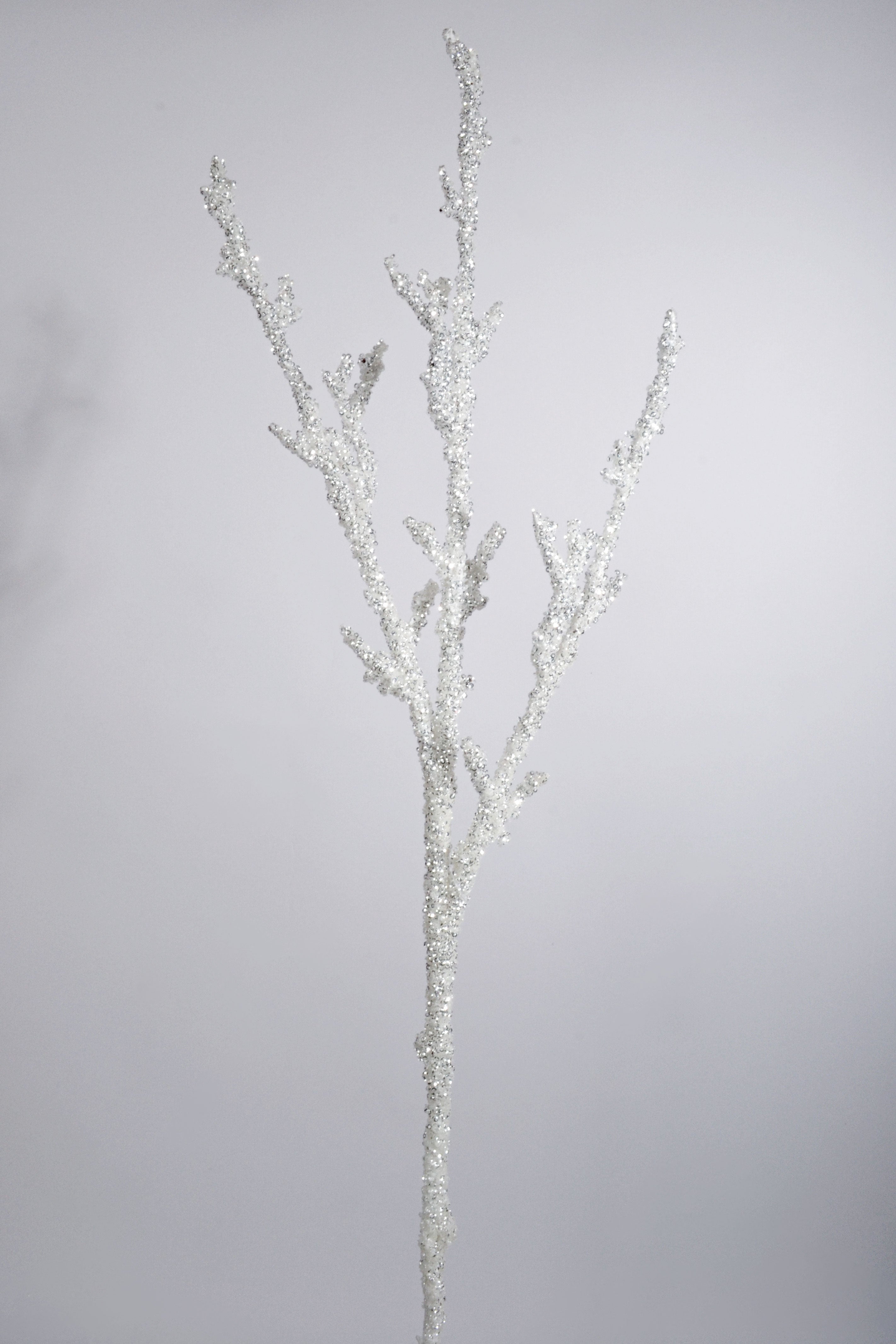 36" Iced Garden Branch White