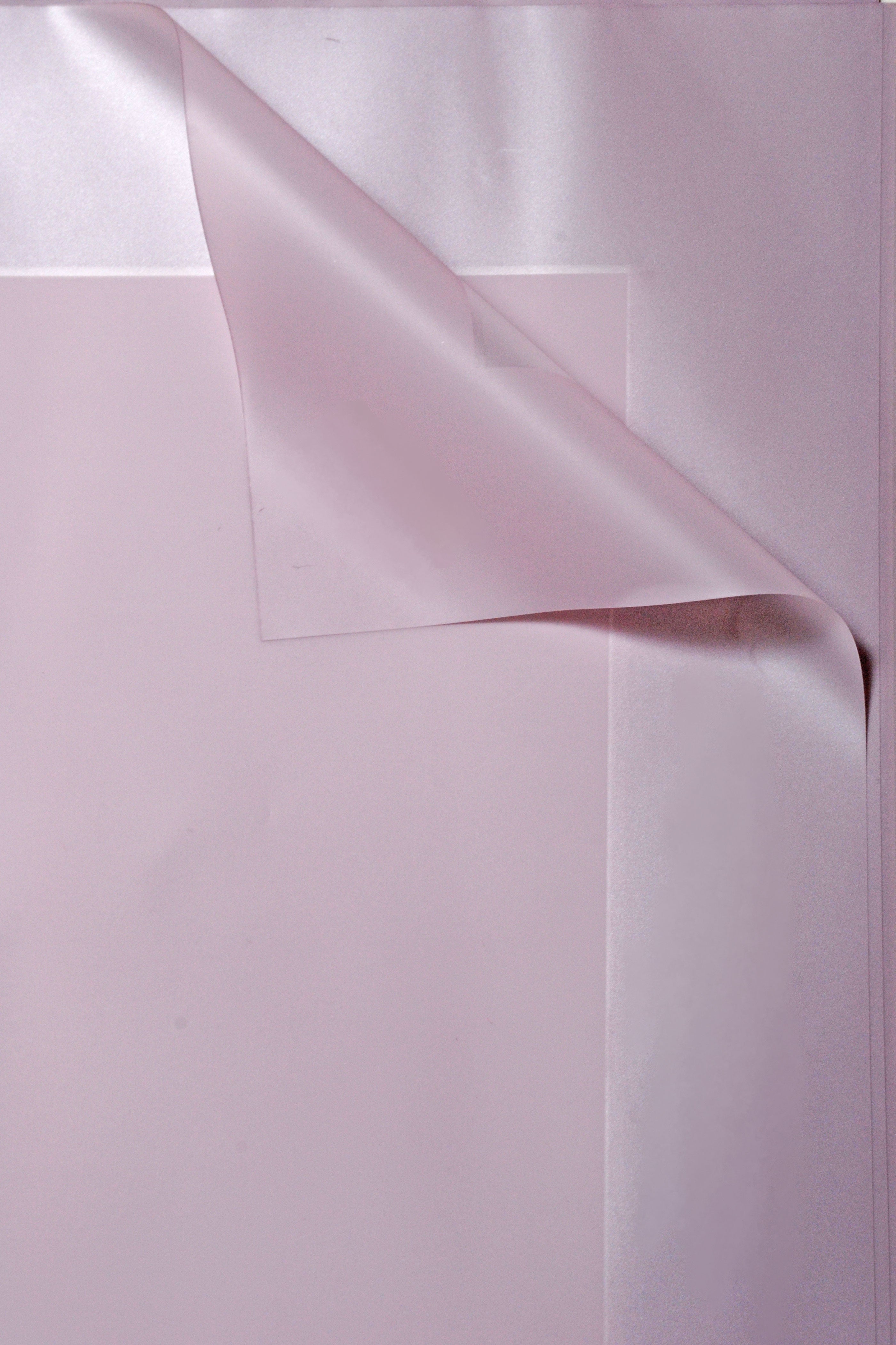 22.5" Flower Wrapping Paper With Edge Lavender Pkg/20