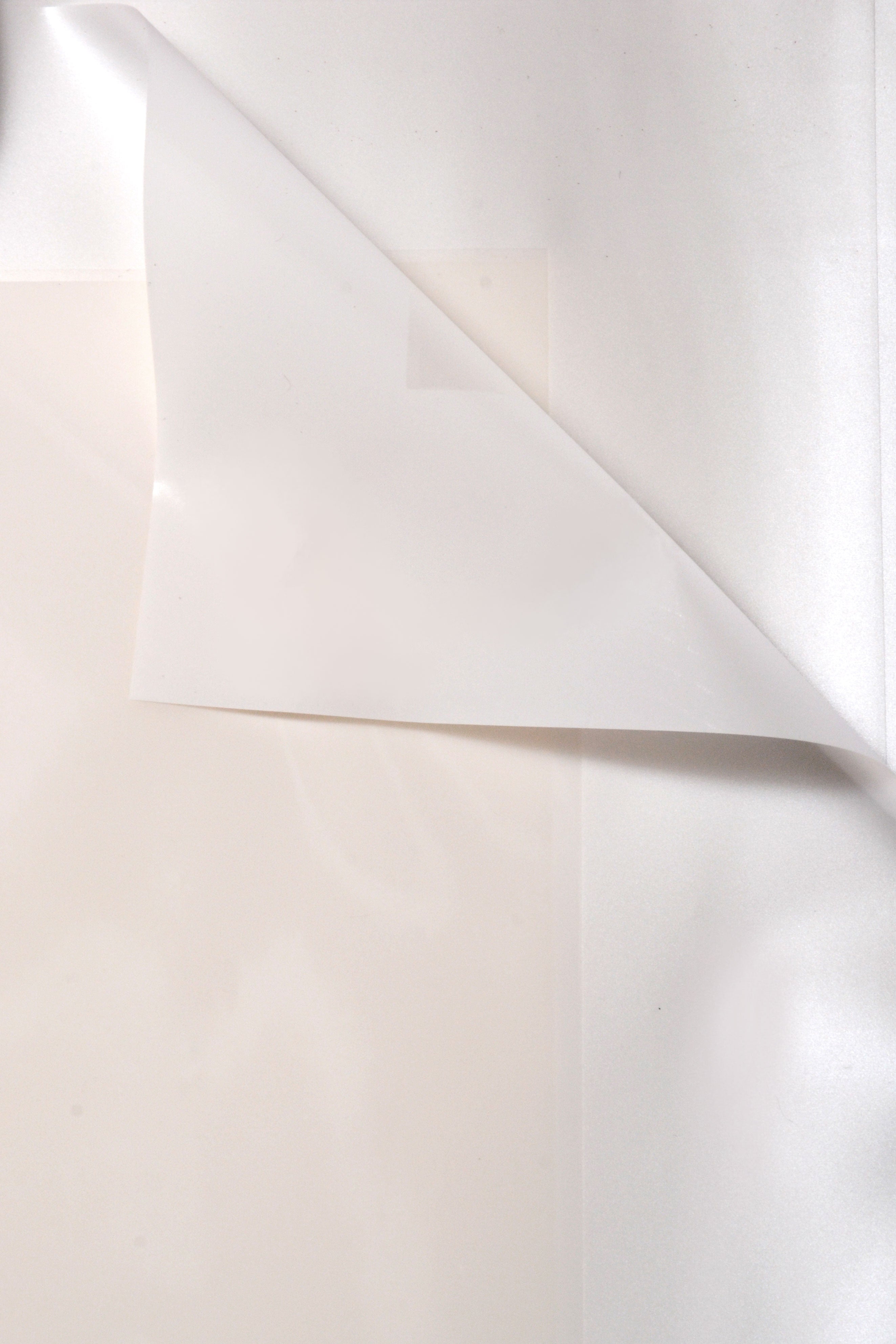 22.5" Flower Wrapping Paper With Edge White Pkg/20