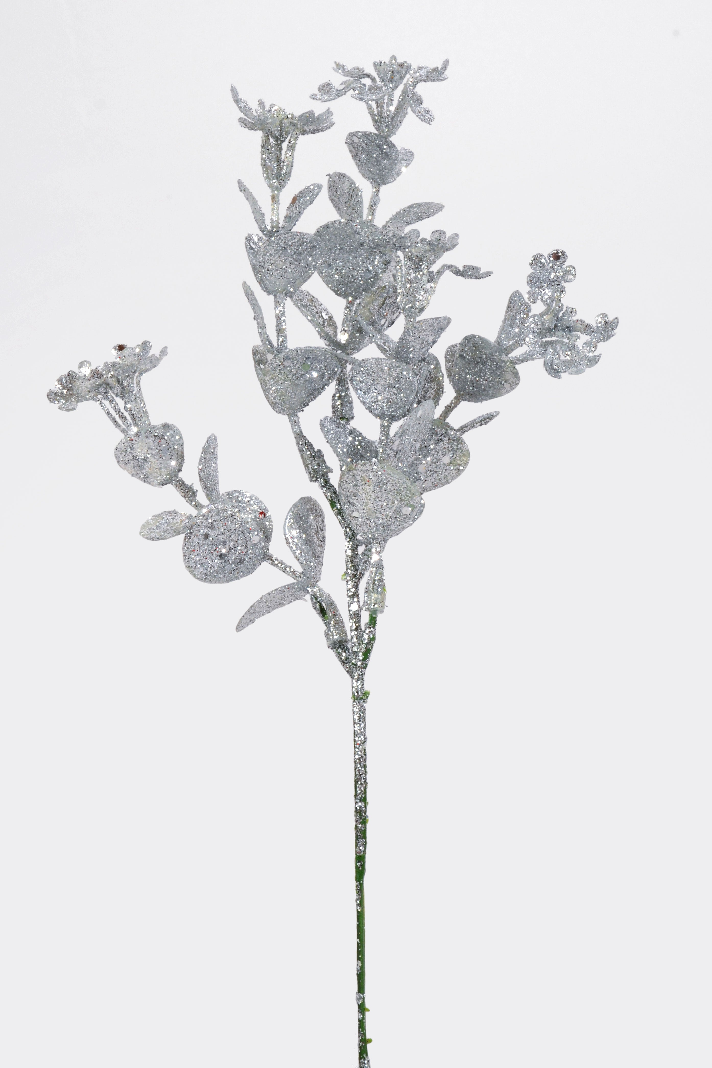 10" Eucalyptus Pick PKG12 Silver