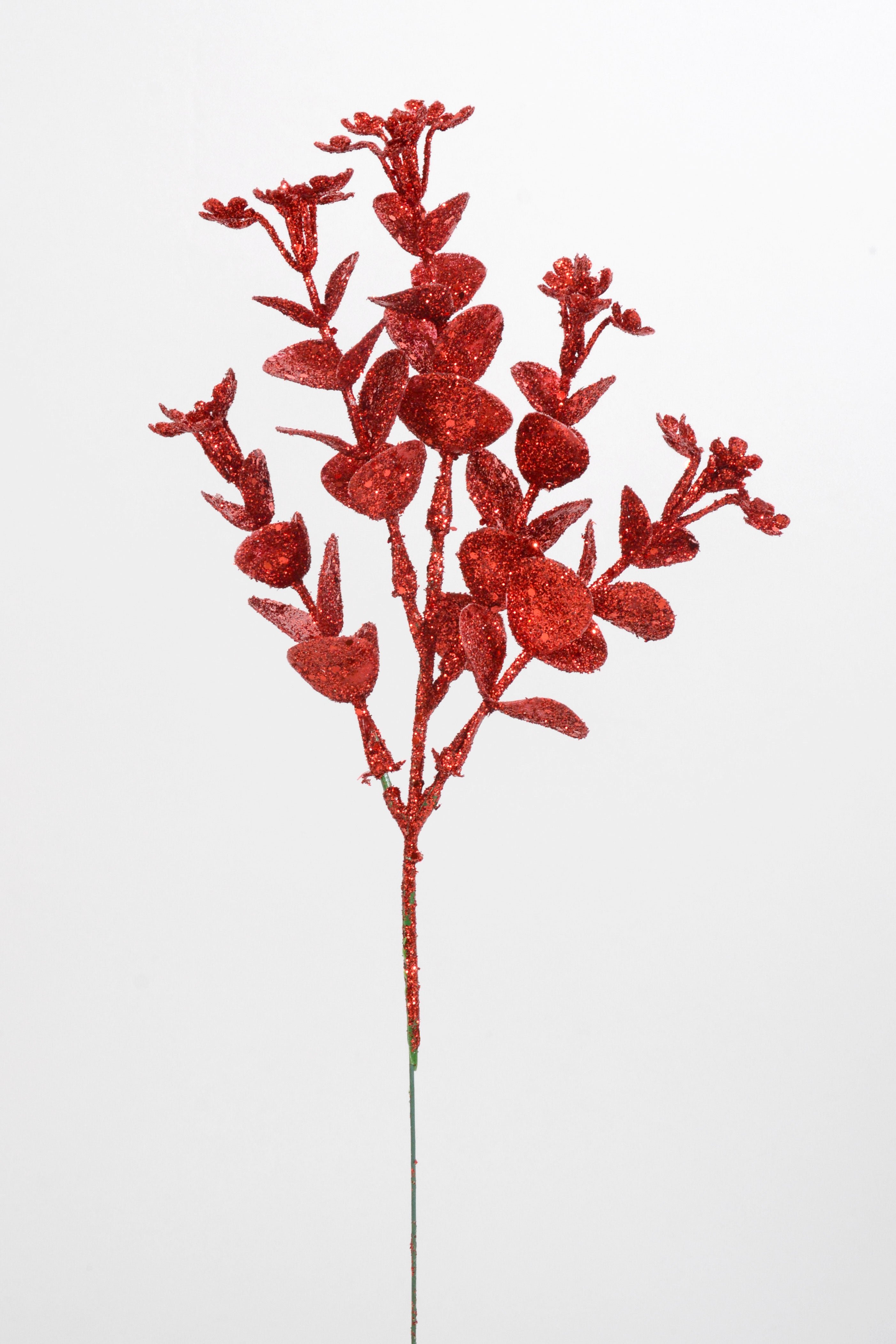 10" Eucalyptus Pick PKG12 Red