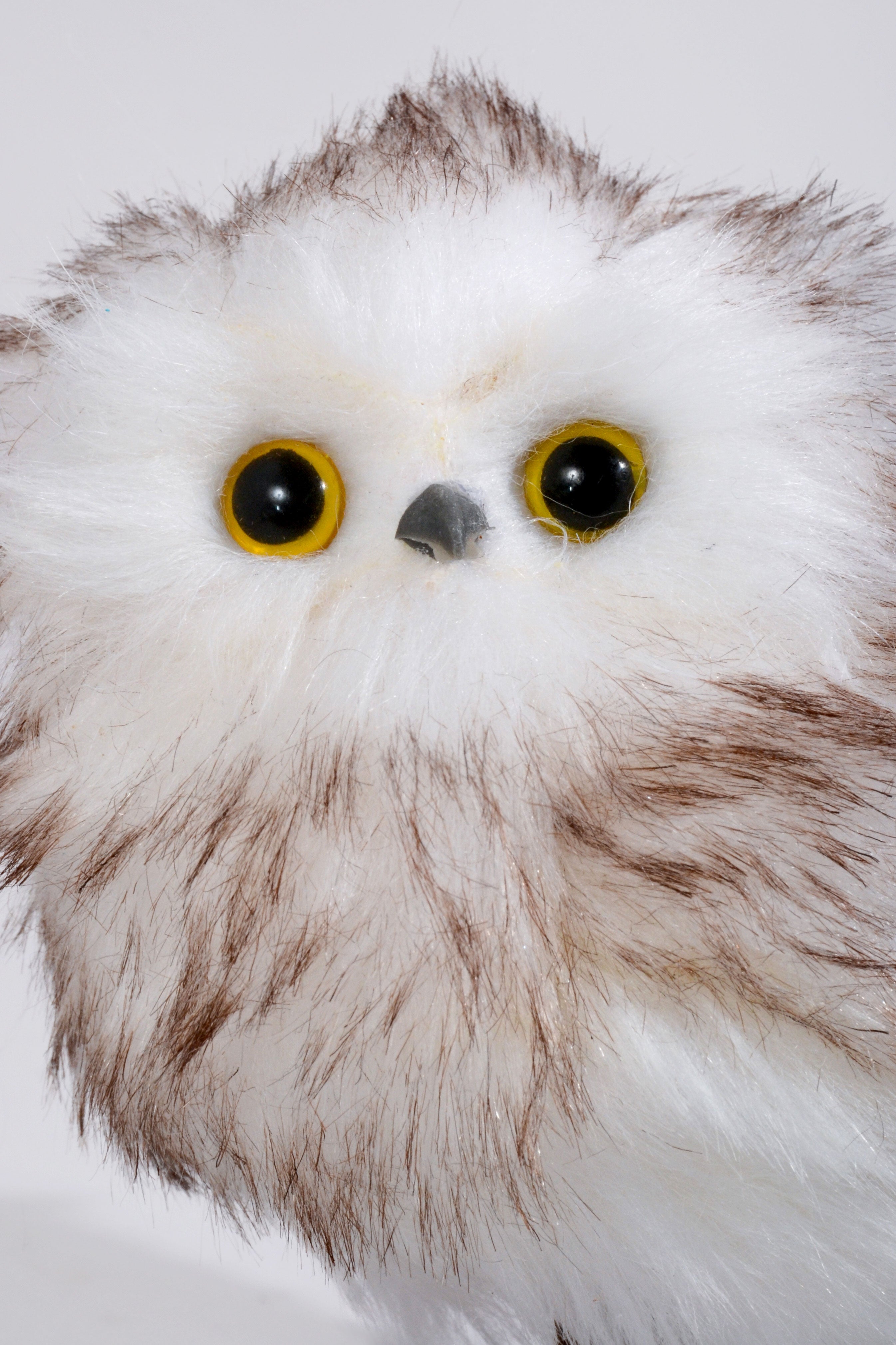 6" x 5.5"H Owl Light Brown/White