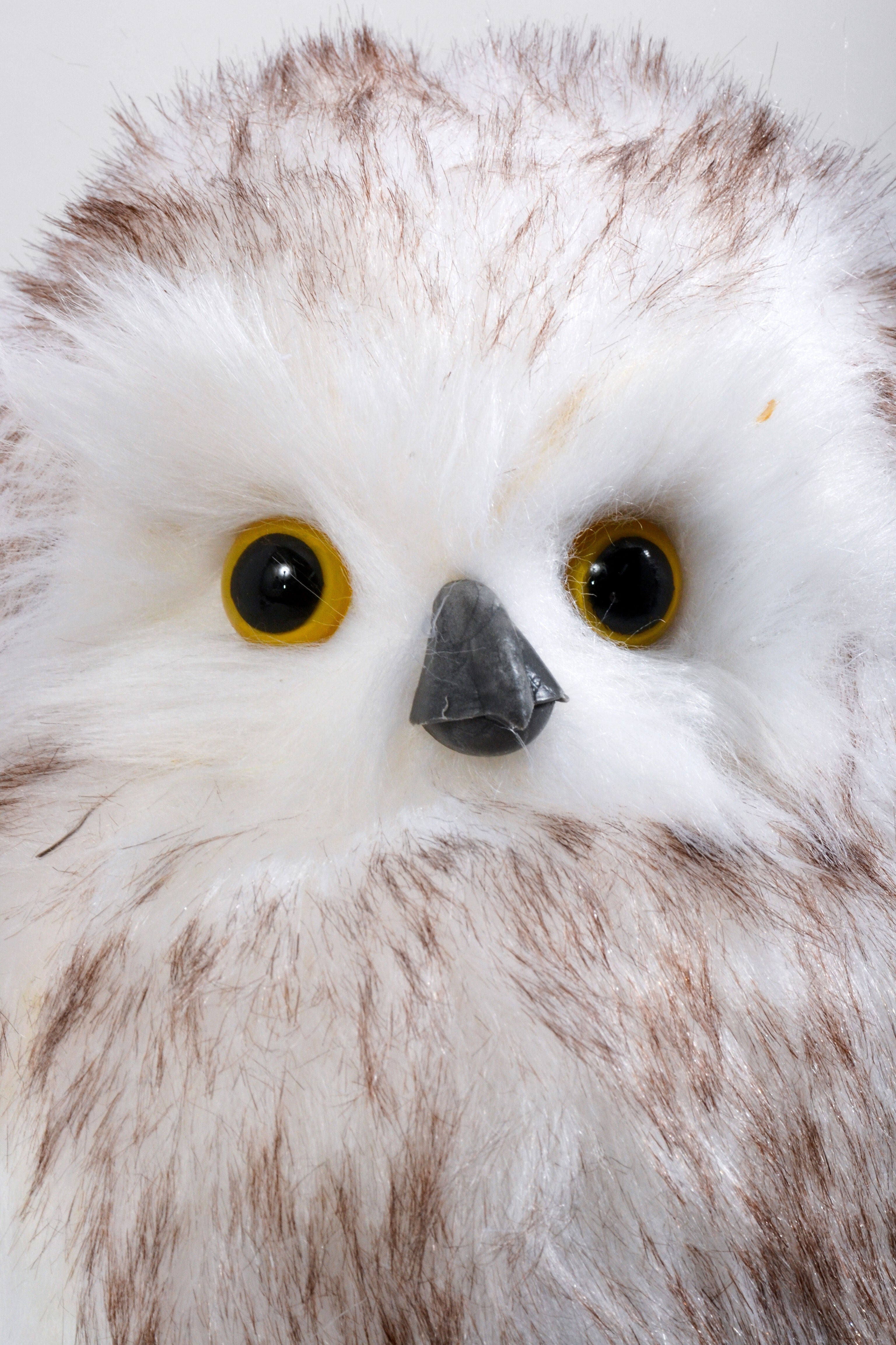 7.5" x 12.5"H Owl Light Brown/White