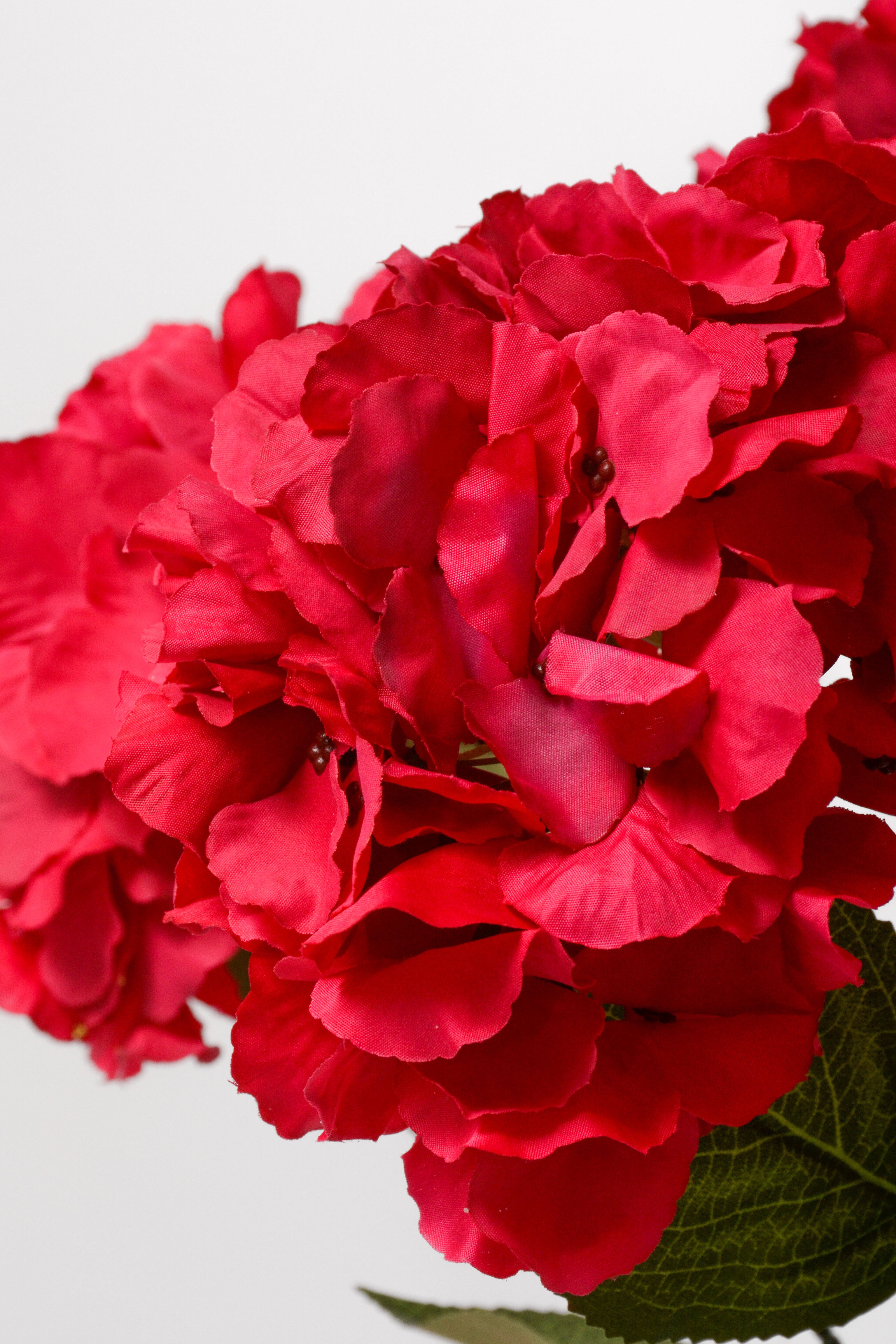 20.5" Silk Hydrangea Bush Fuchsia