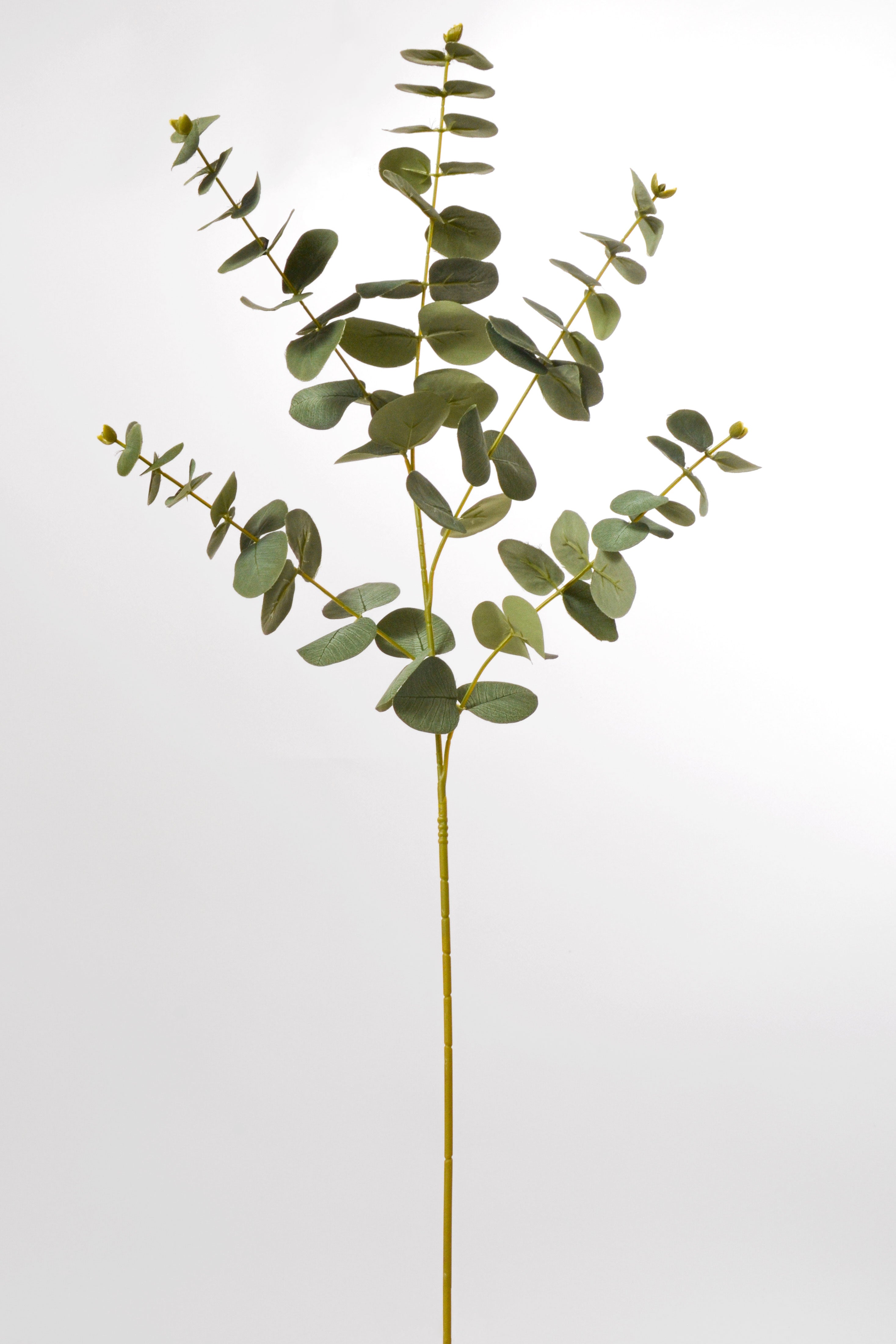 36" Eucalyptus Spray Green