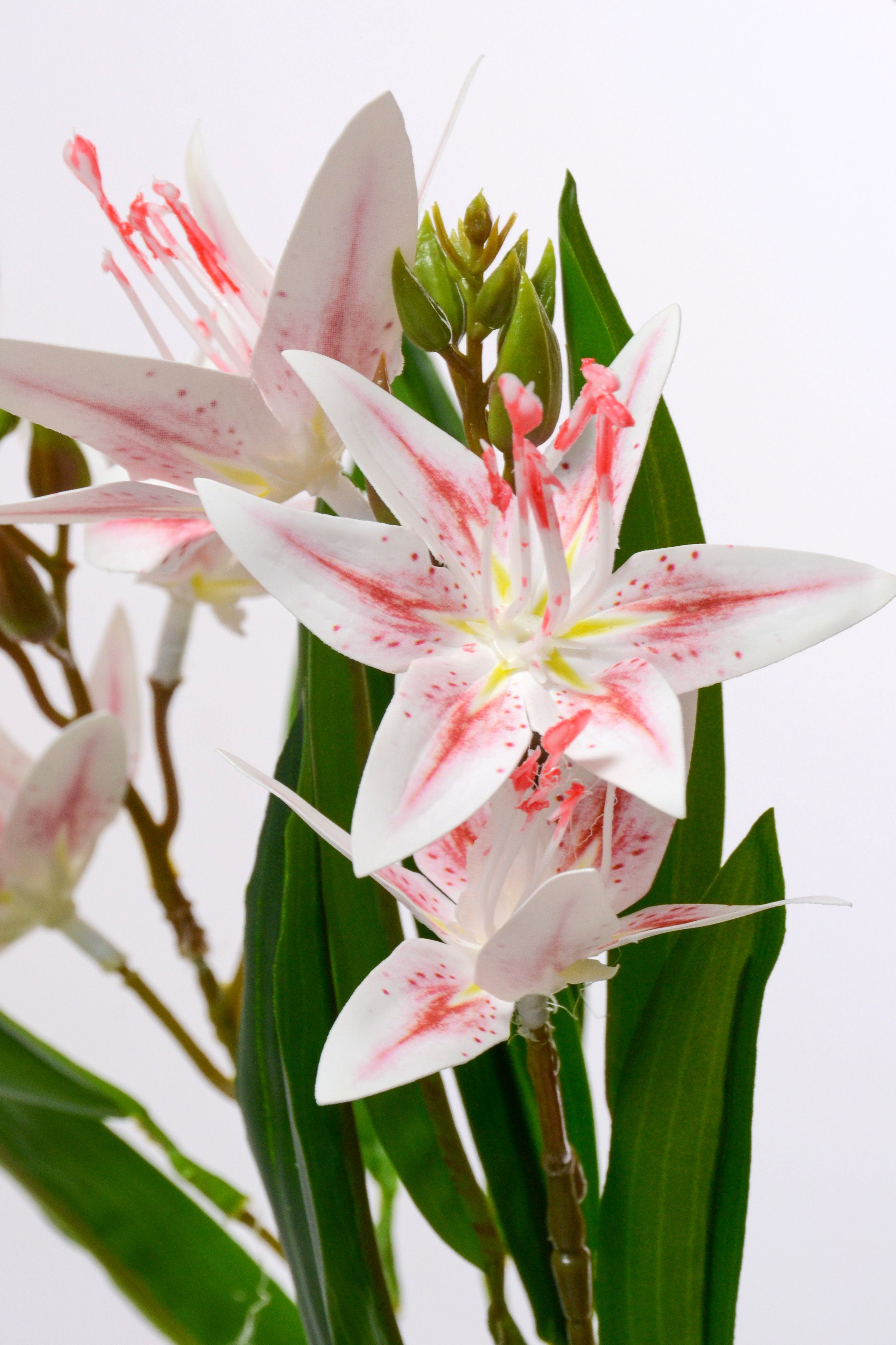 18" Artificial Cymbidium Orchid Bush Pink