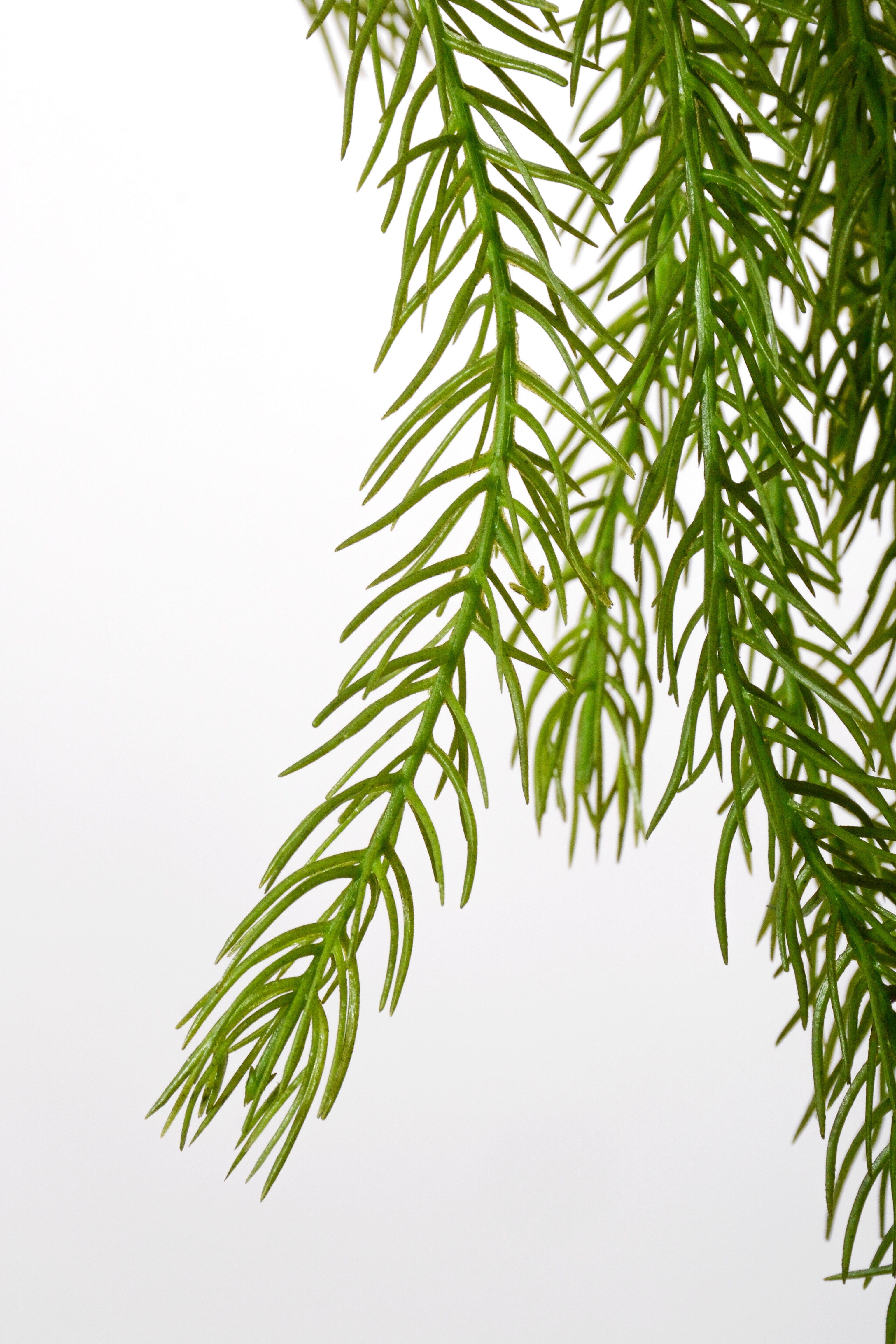 46" Artificial Clubmoss Hanging Green