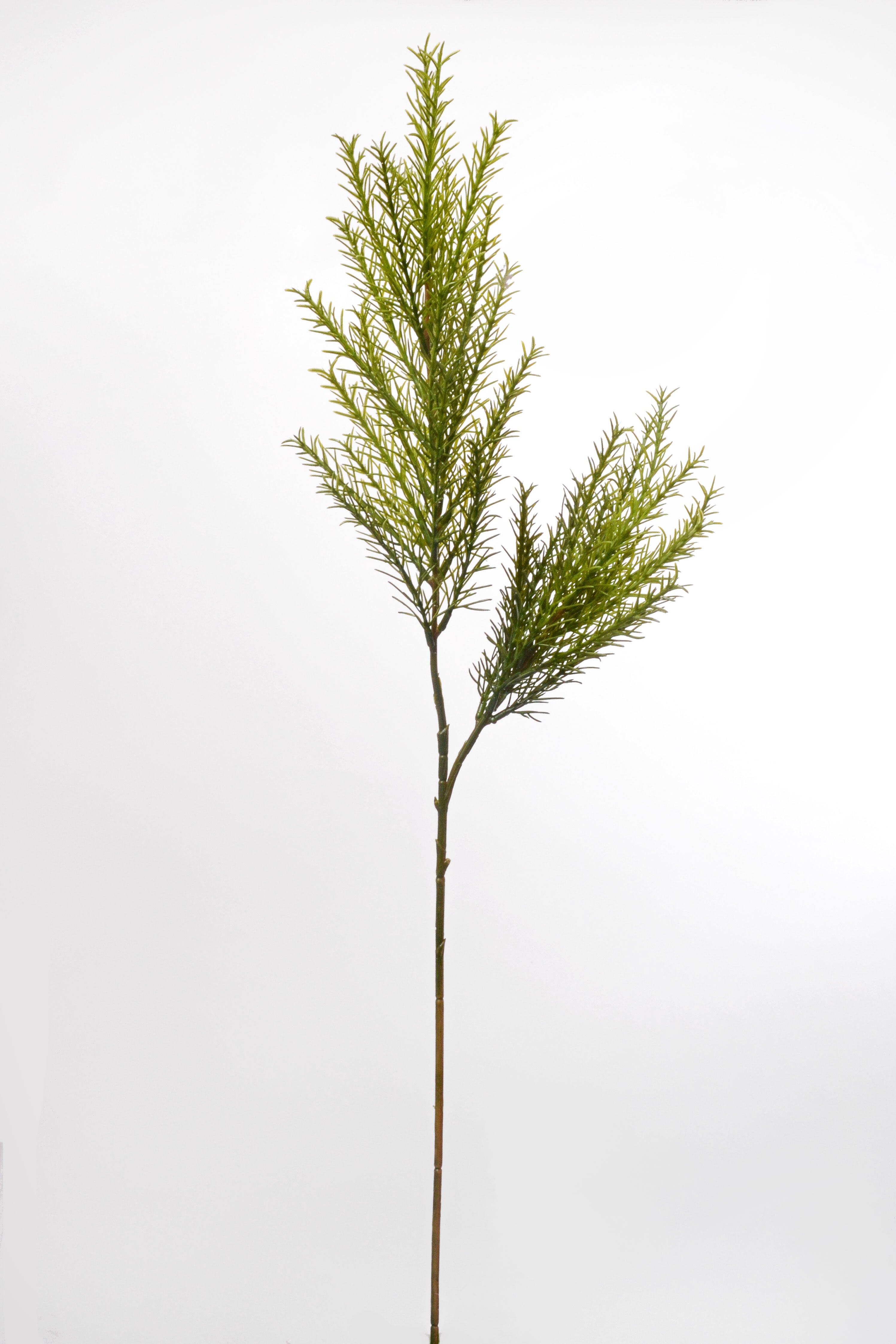 29" Clubmoss Spray Green