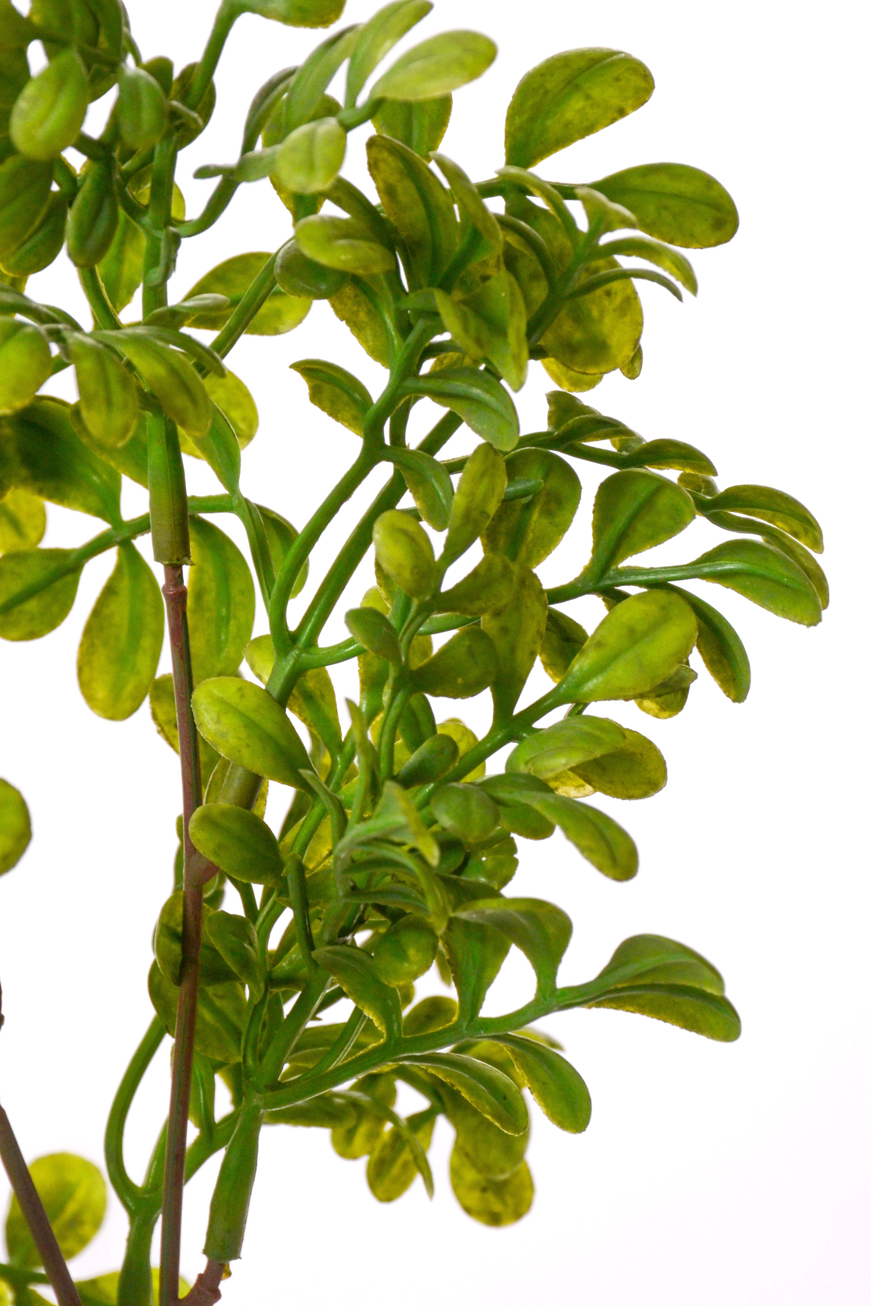 13" Artificial Common Rue Bush Green