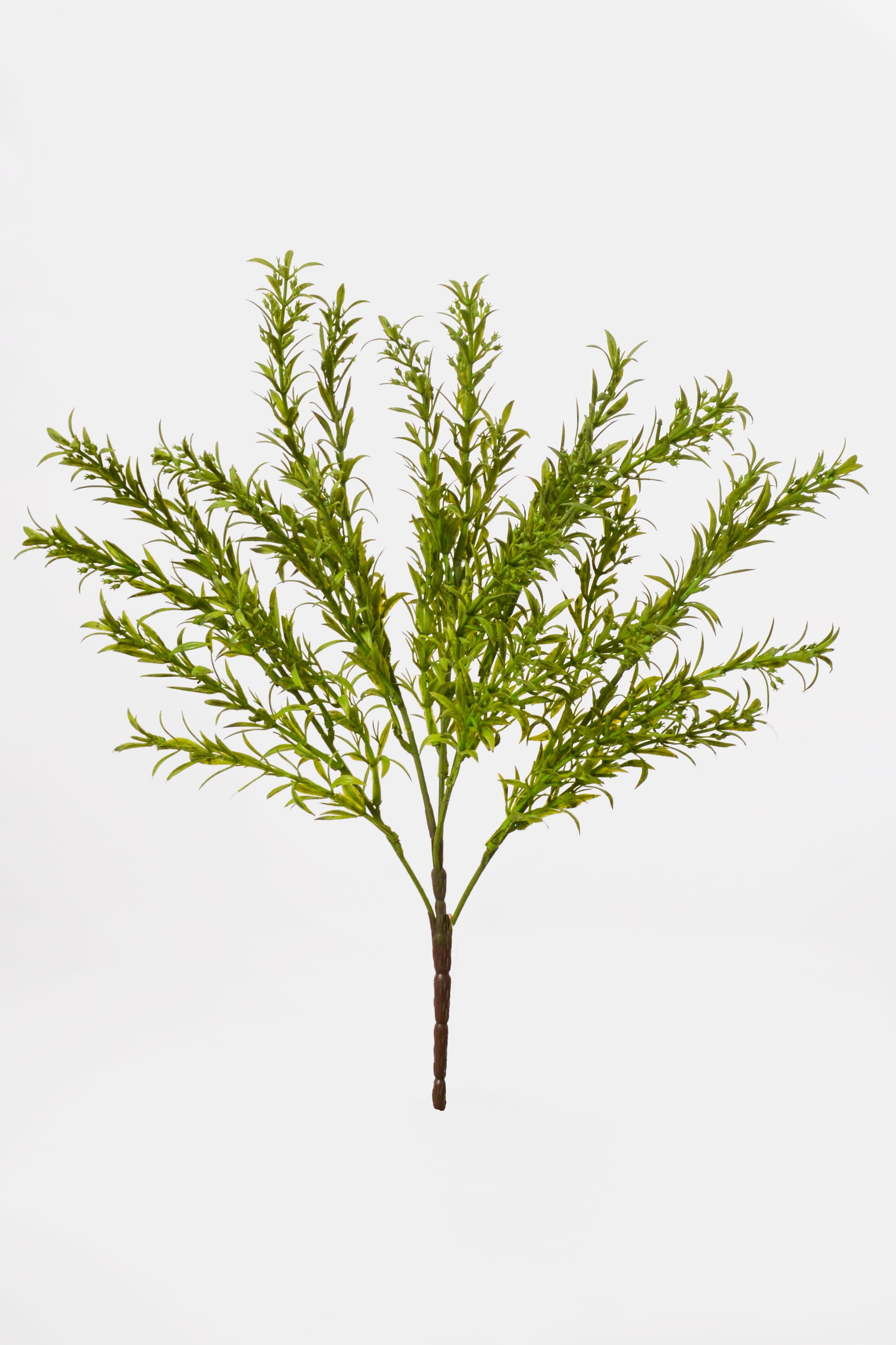 15.75" Thyme Bush Green