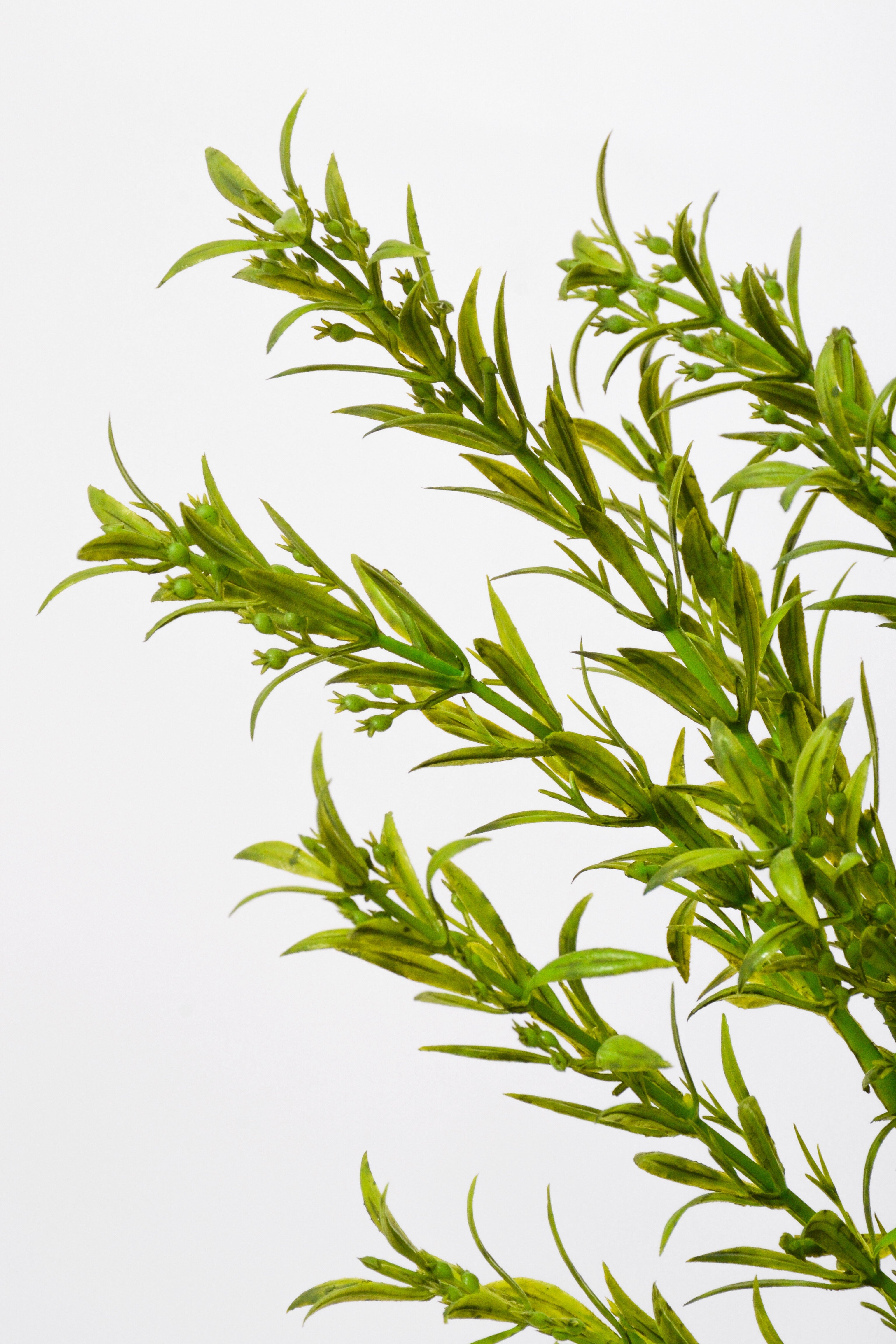 15.75" Thyme Bush Green