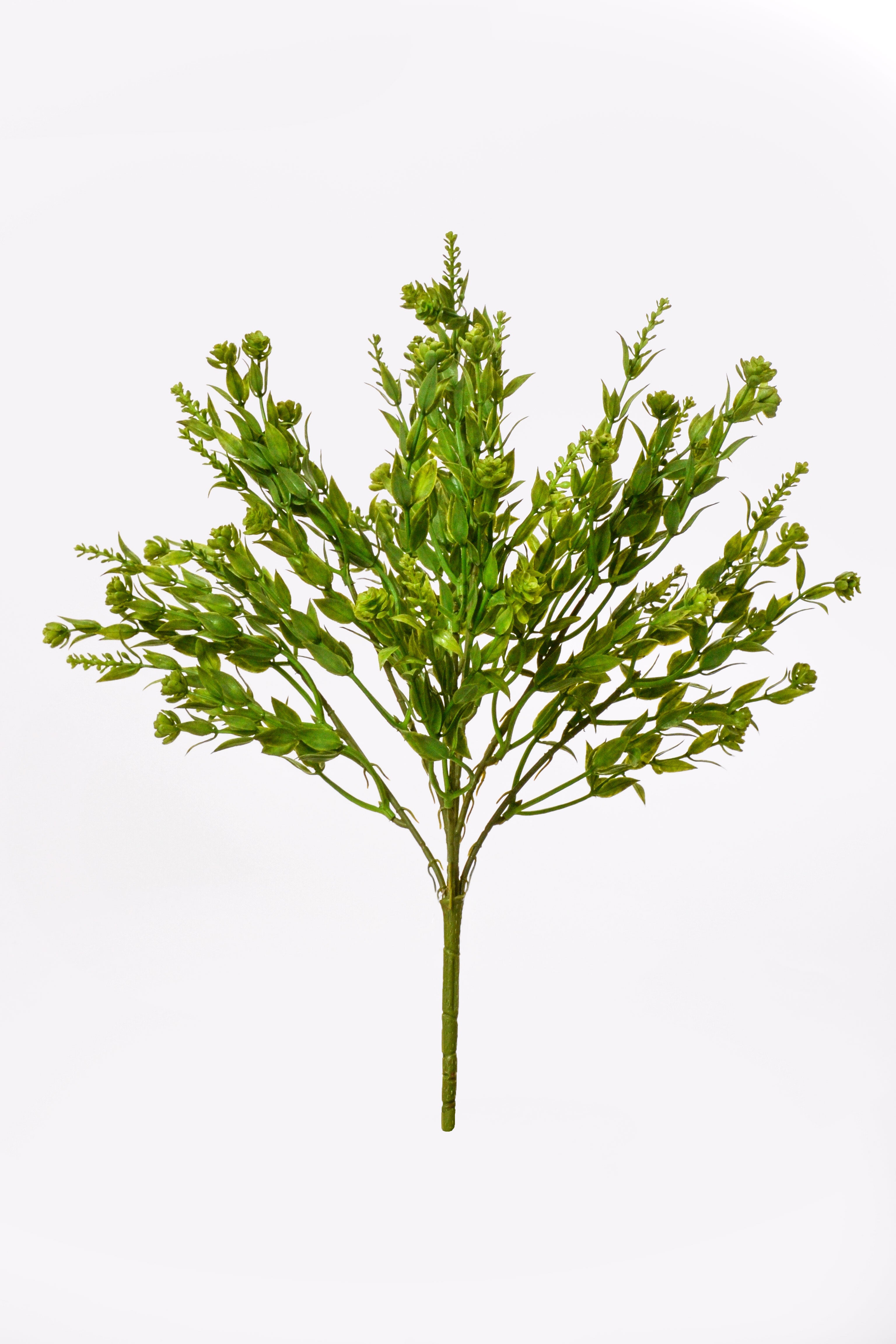 15" Ruscus Mix Bush Green