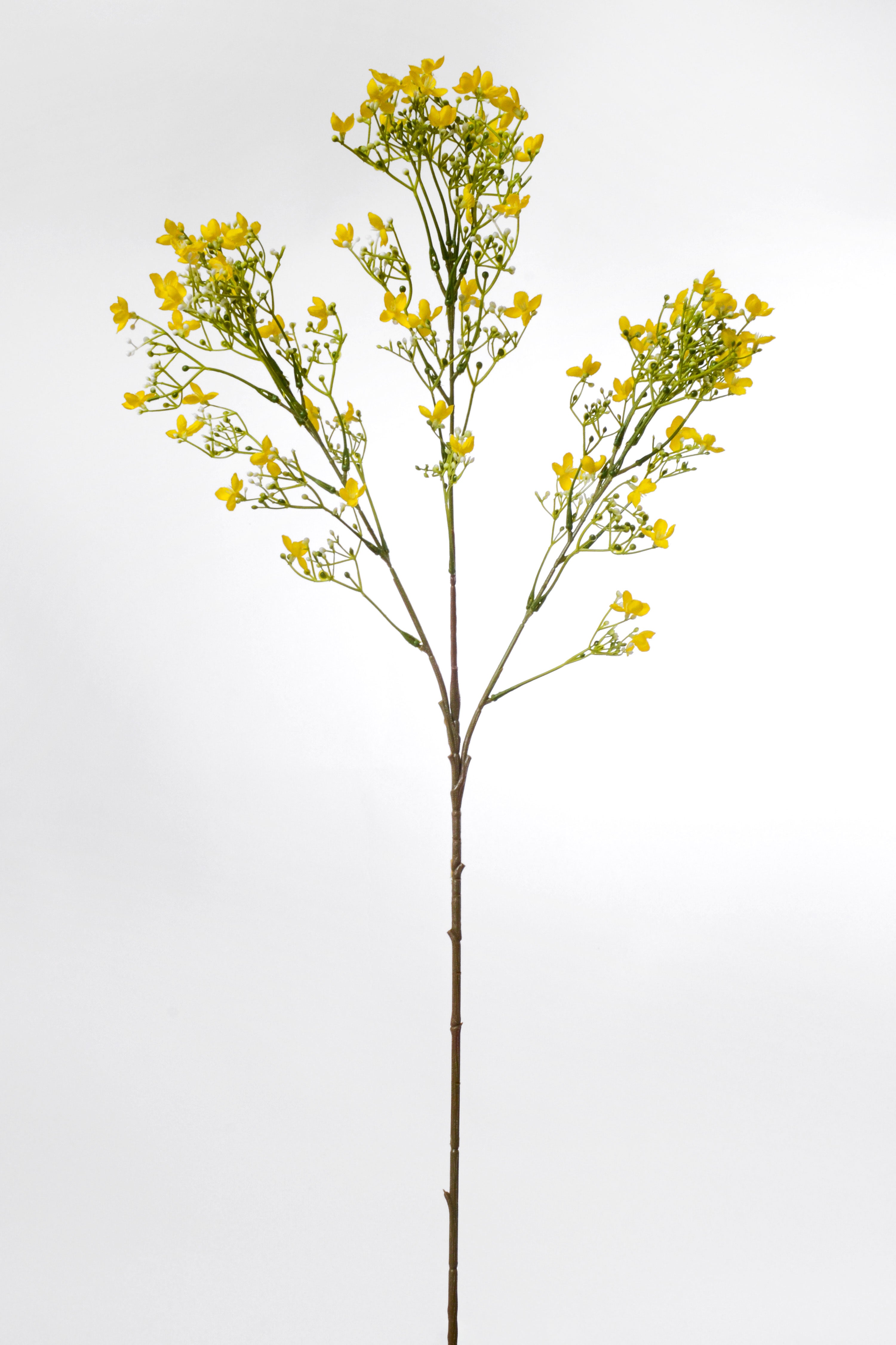 29.5" Silk Waxflower Spray Yellow