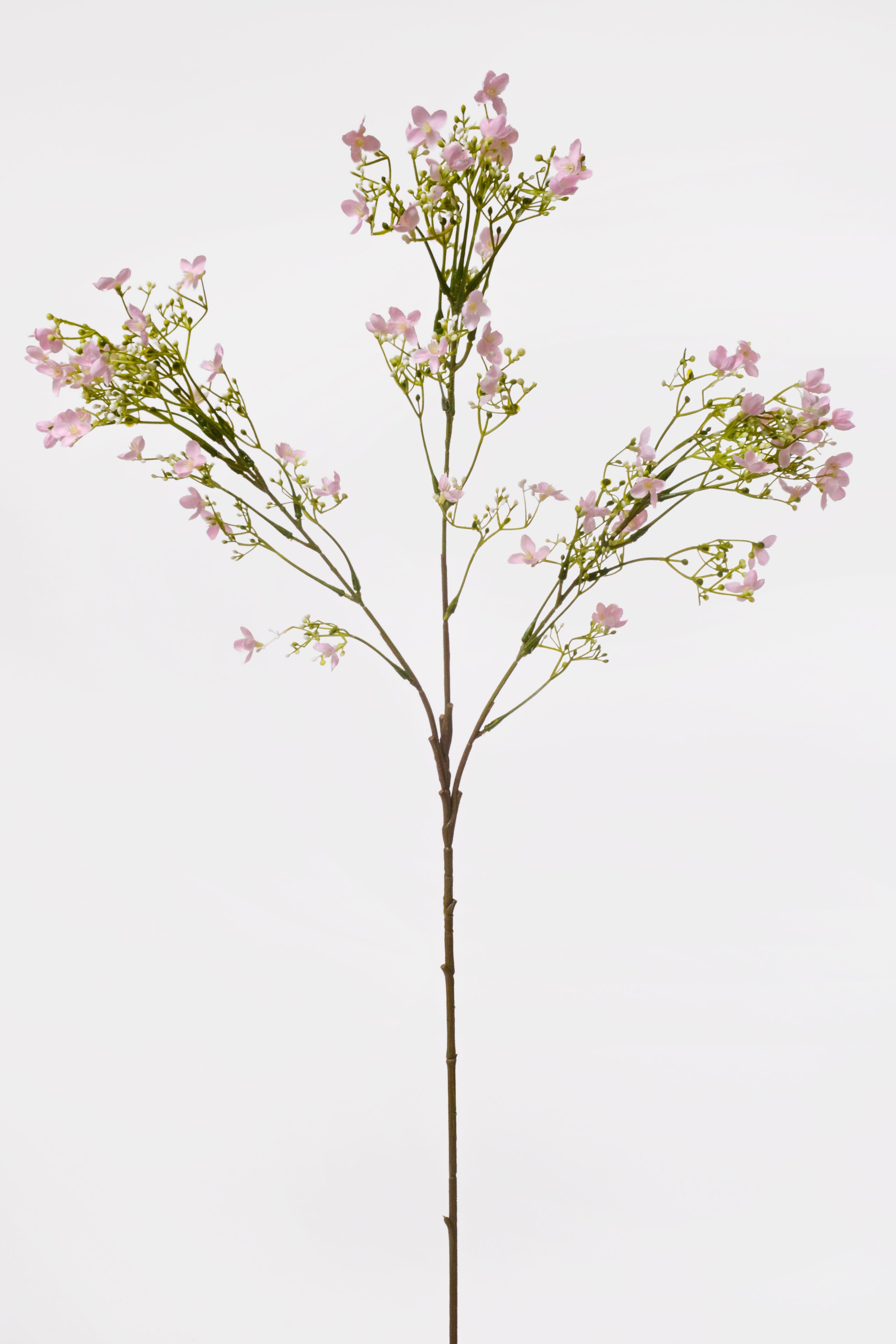 29.5" Silk Waxflower Spray Pink