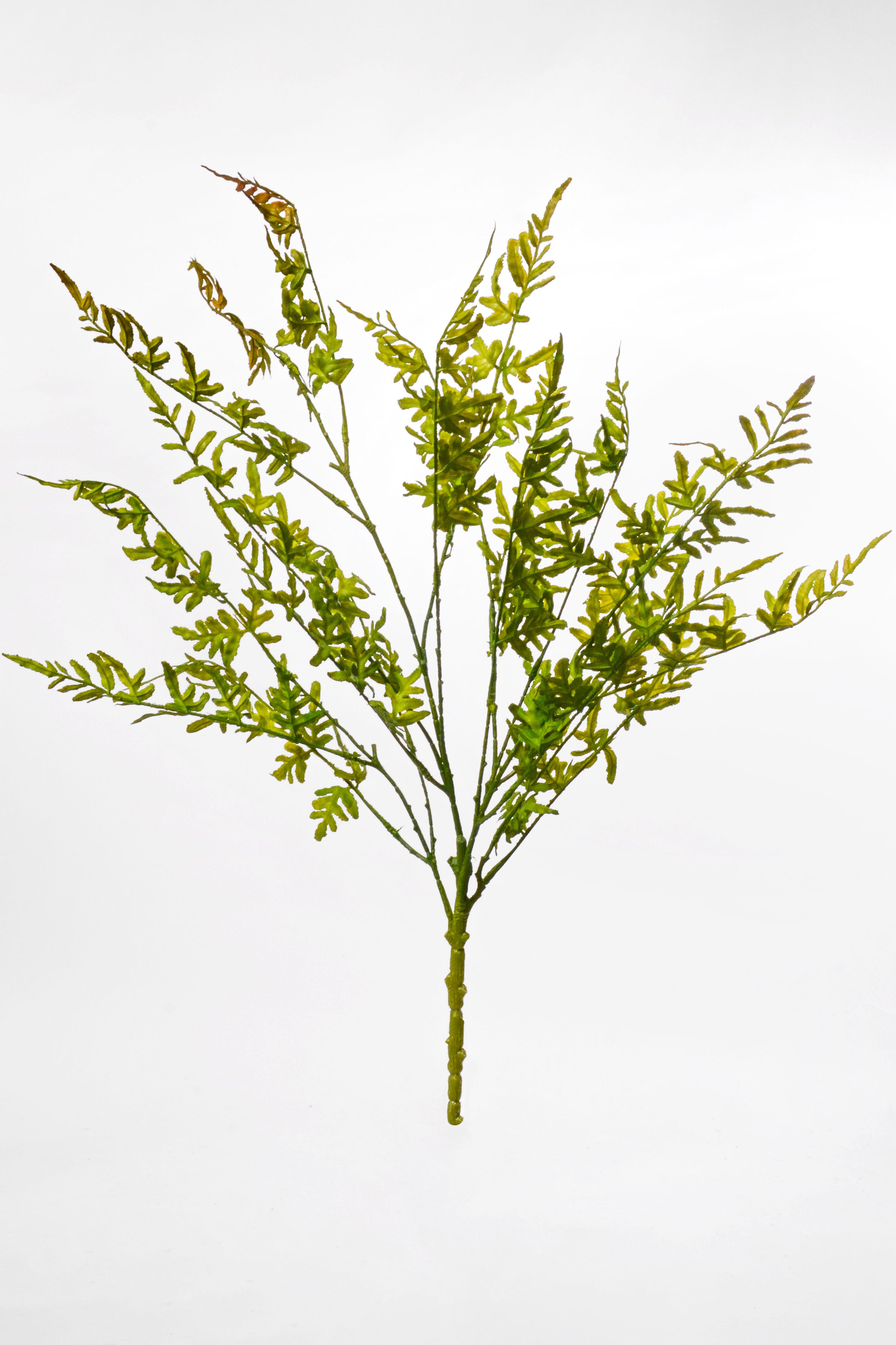 29" Artificial Pteridaceae Bush Green