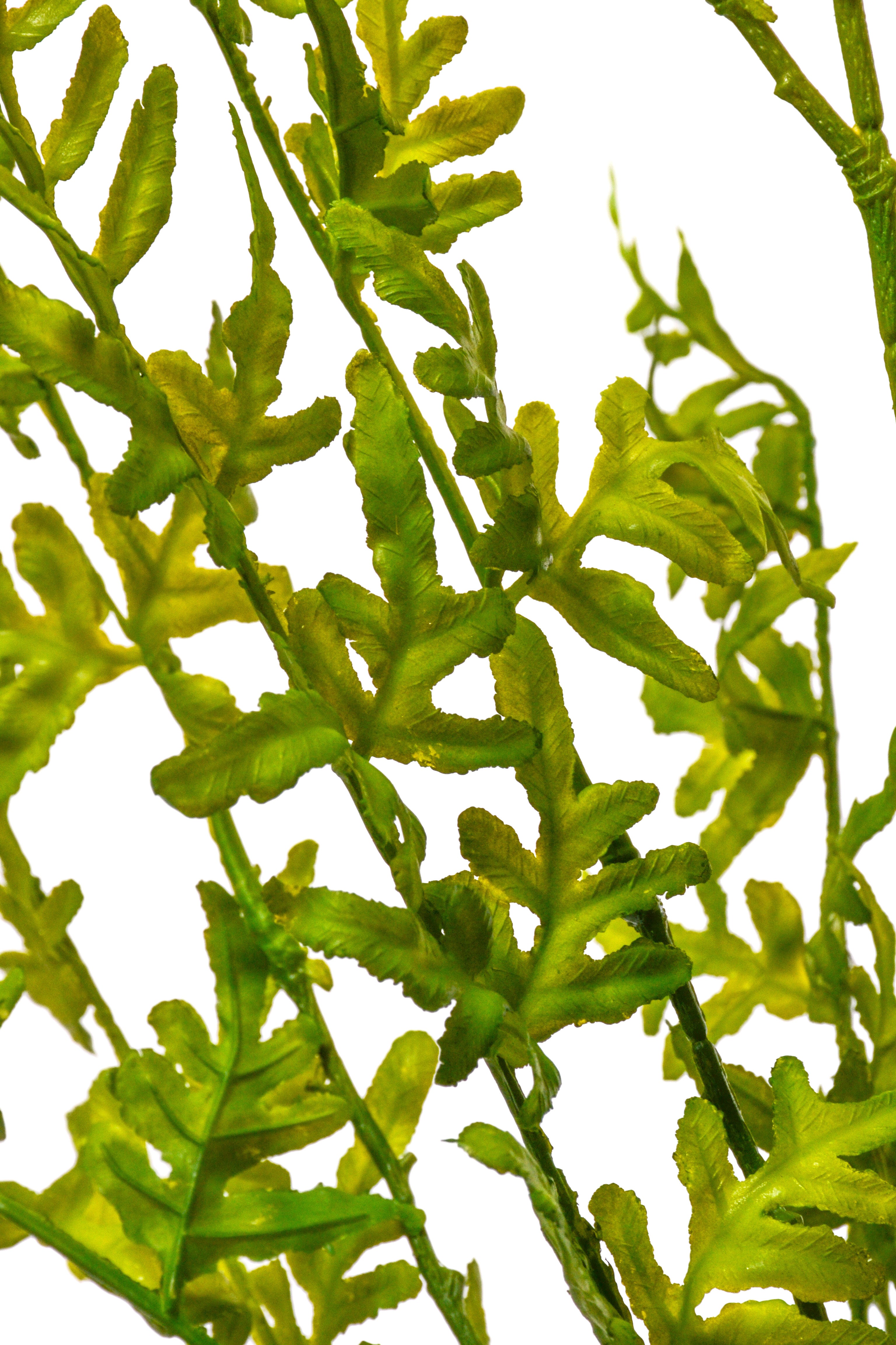 29" Artificial Pteridaceae Bush Green