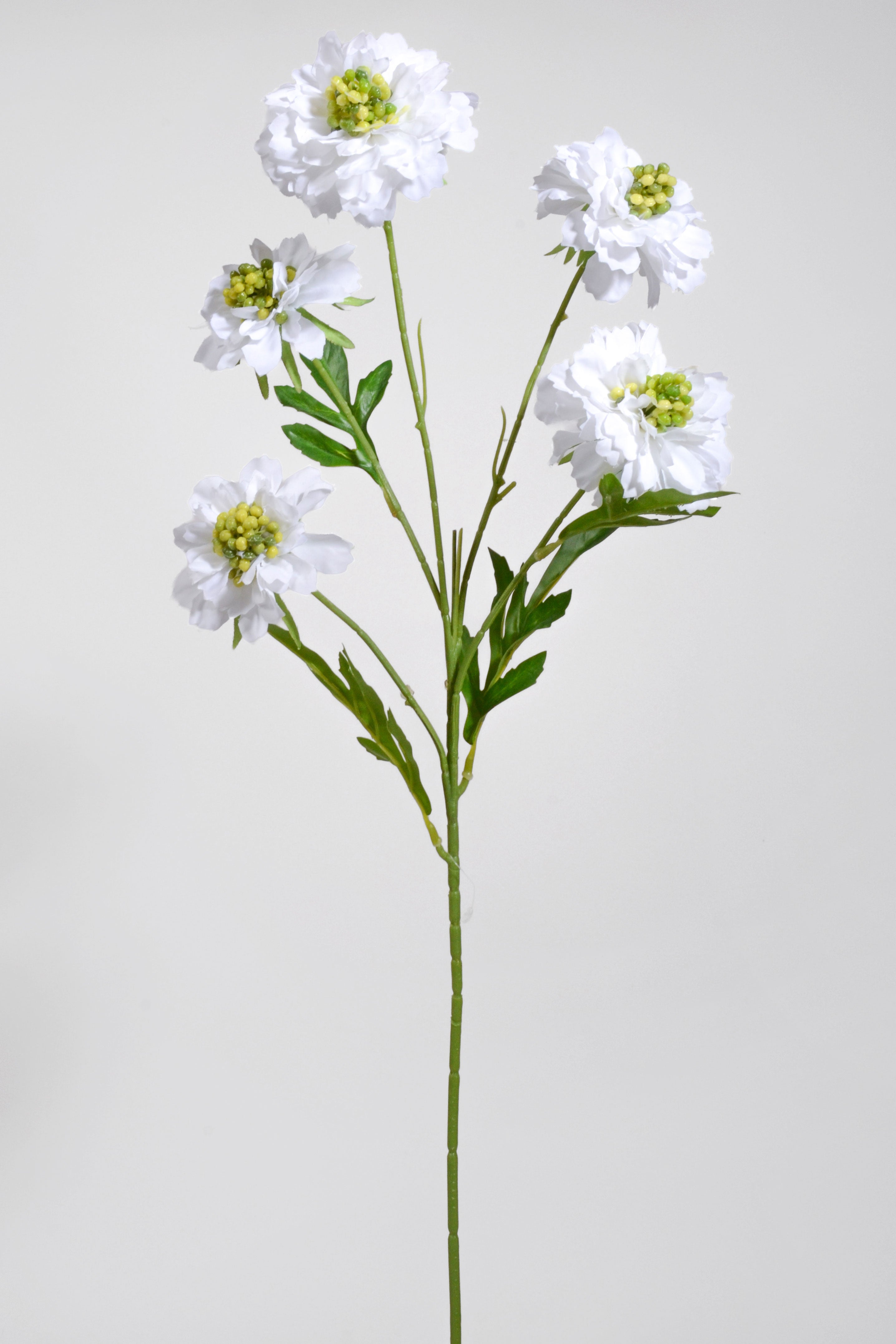 25.5" Silk Aster Spray White