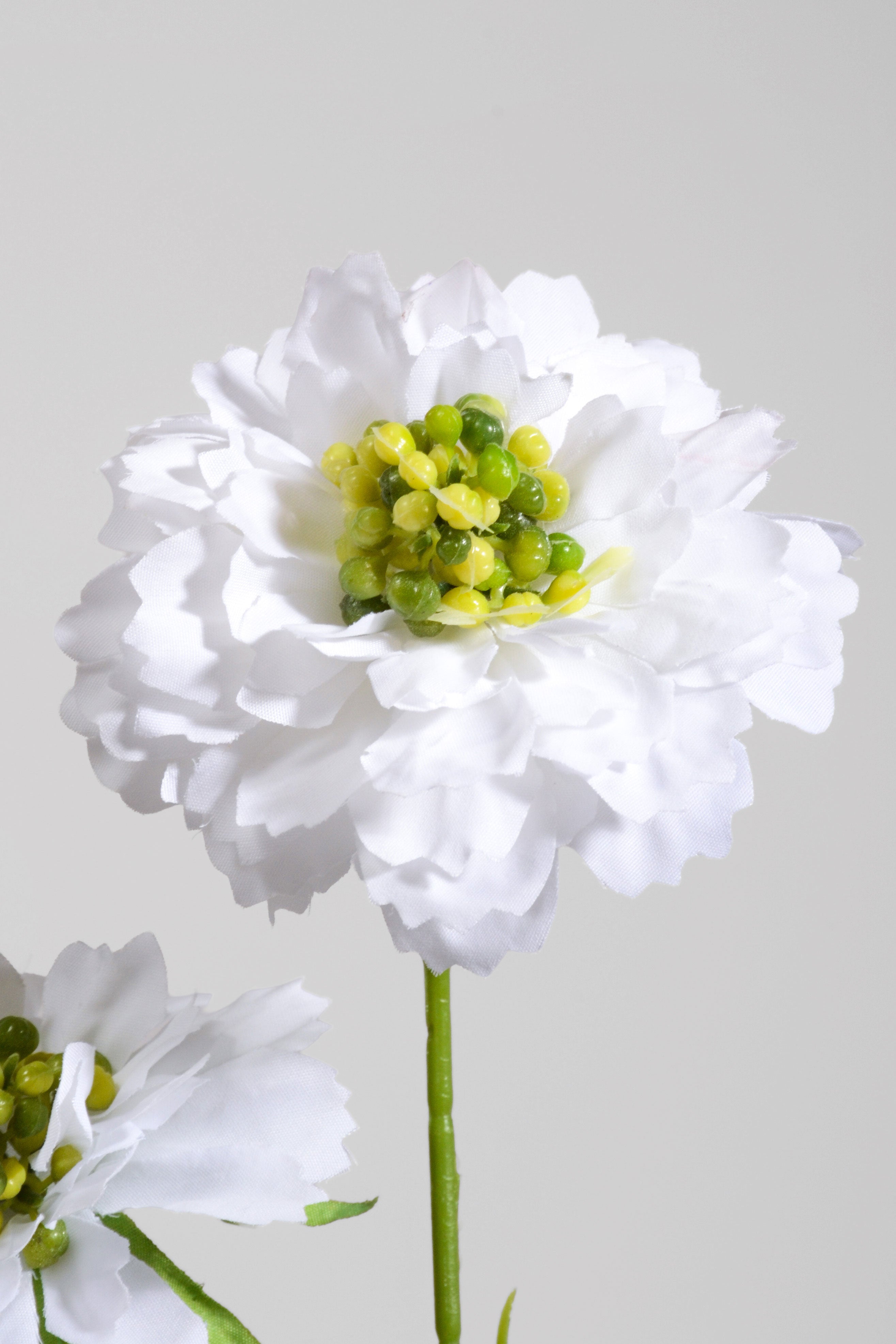 25.5" Silk Aster Spray White