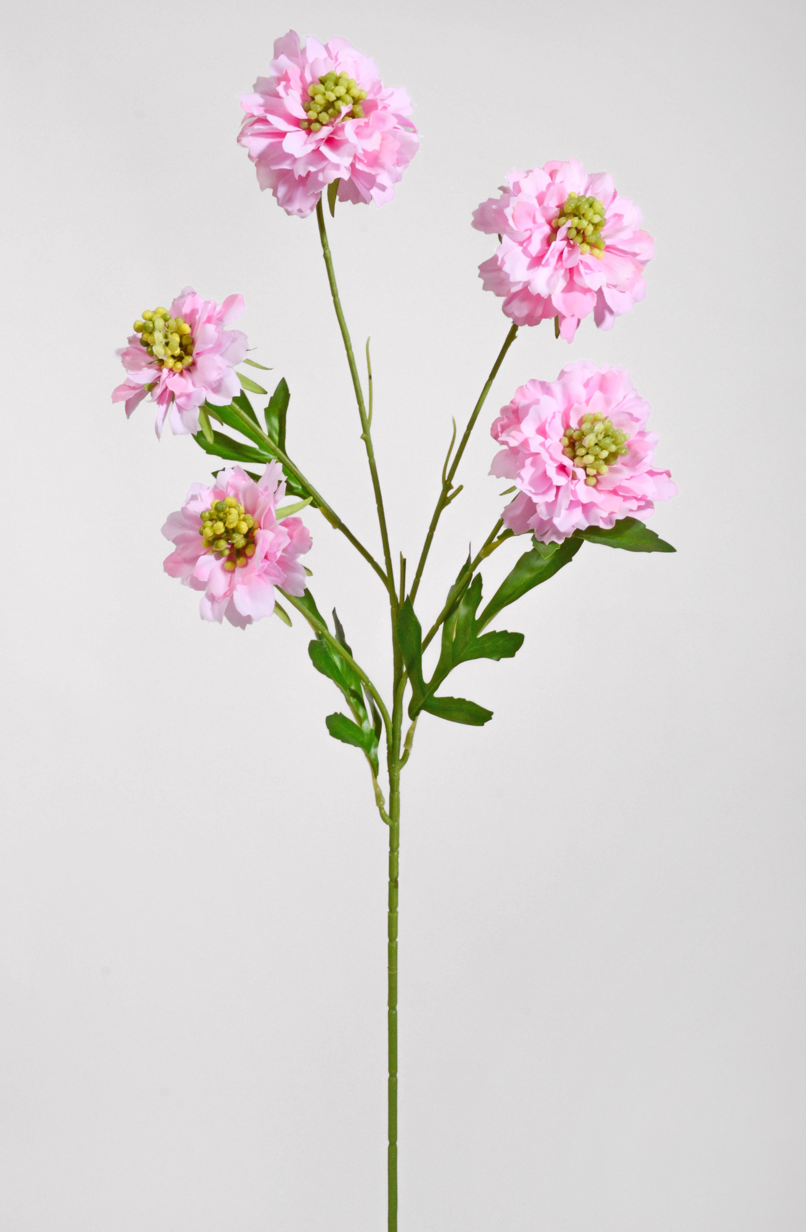 25.5" Silk Aster Spray Pink