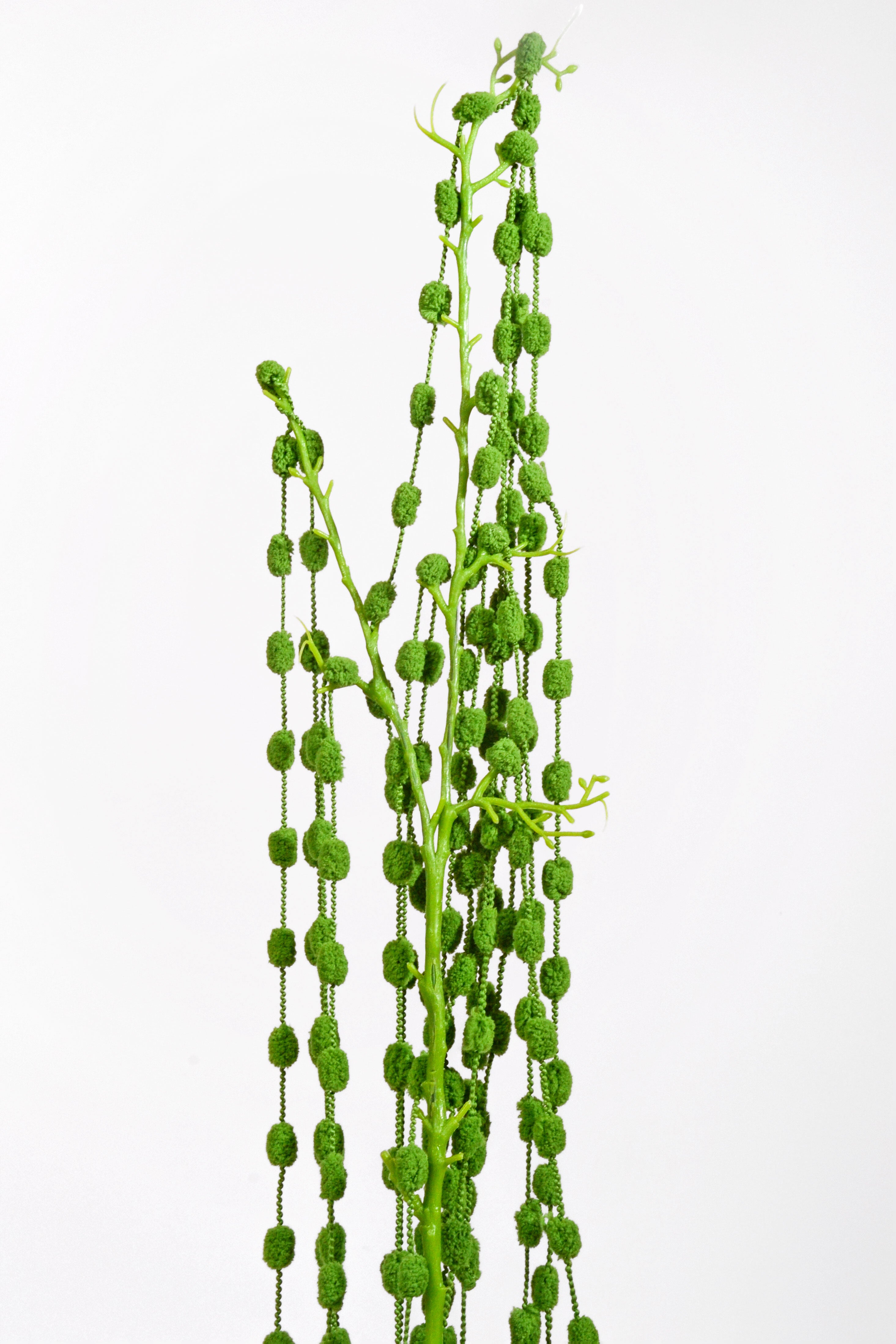 50" Bead Succulent Hanging Spray Green