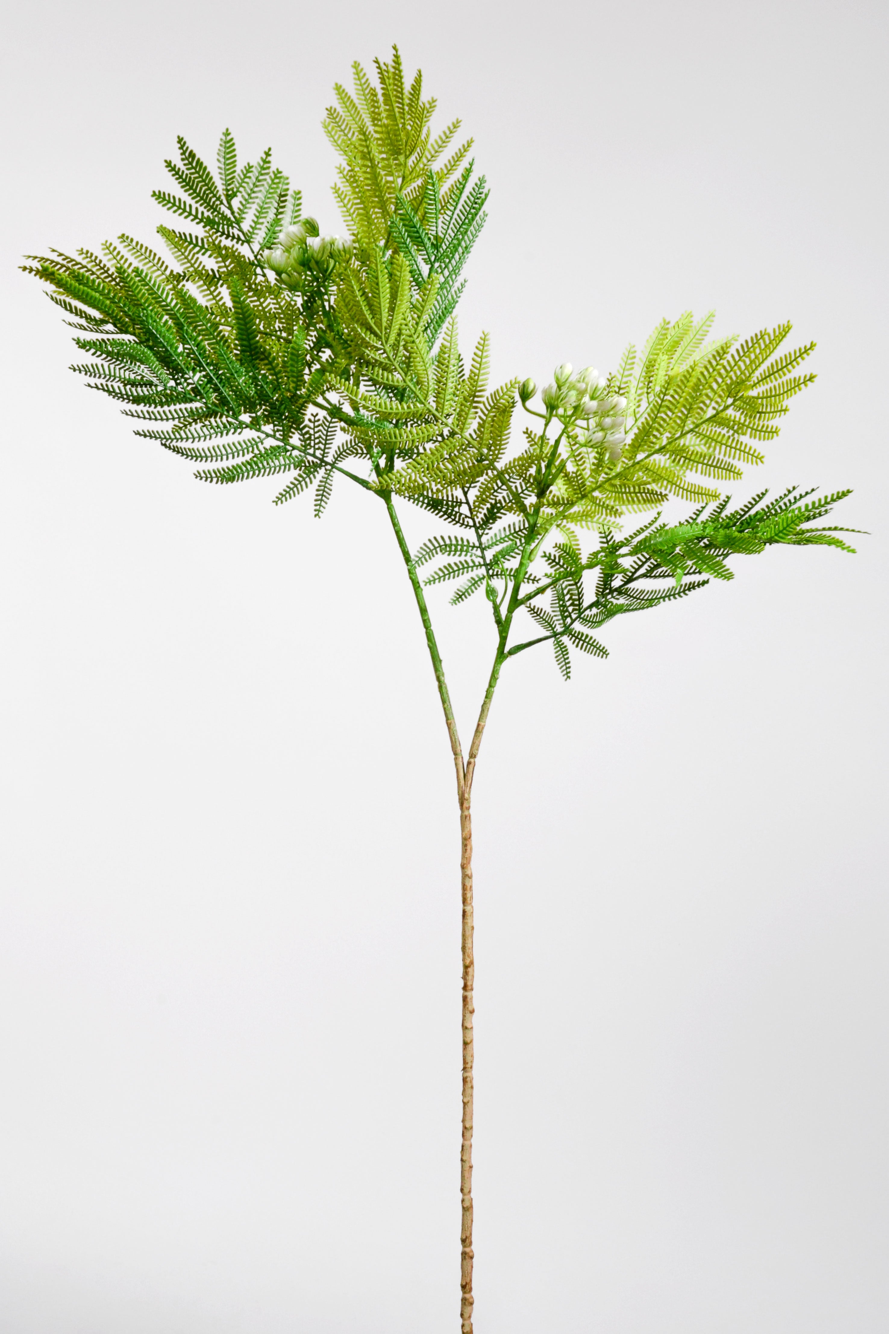 37" Artificial Mimosa Spray Green/White