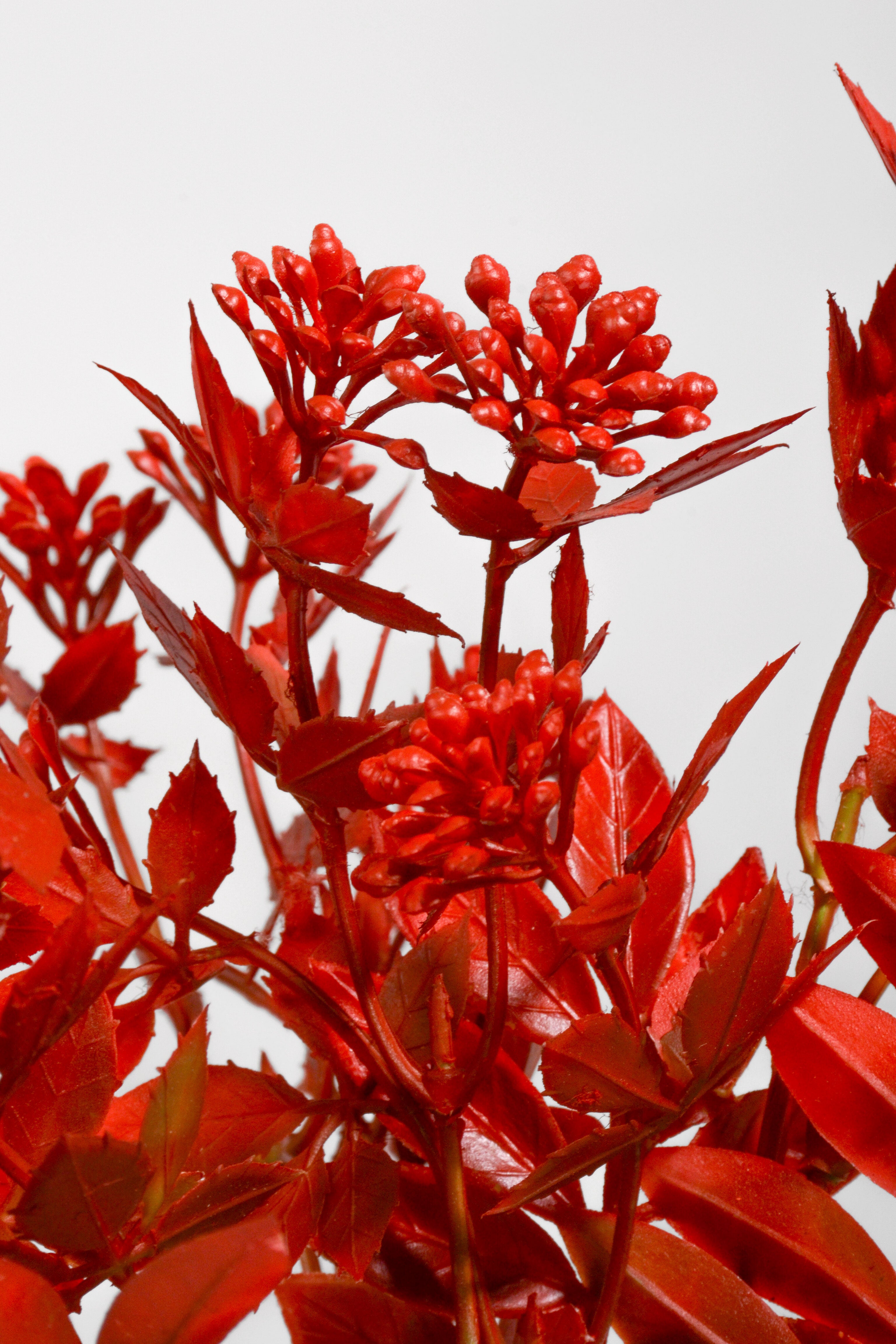 13" Artificial Azolla Bush Red