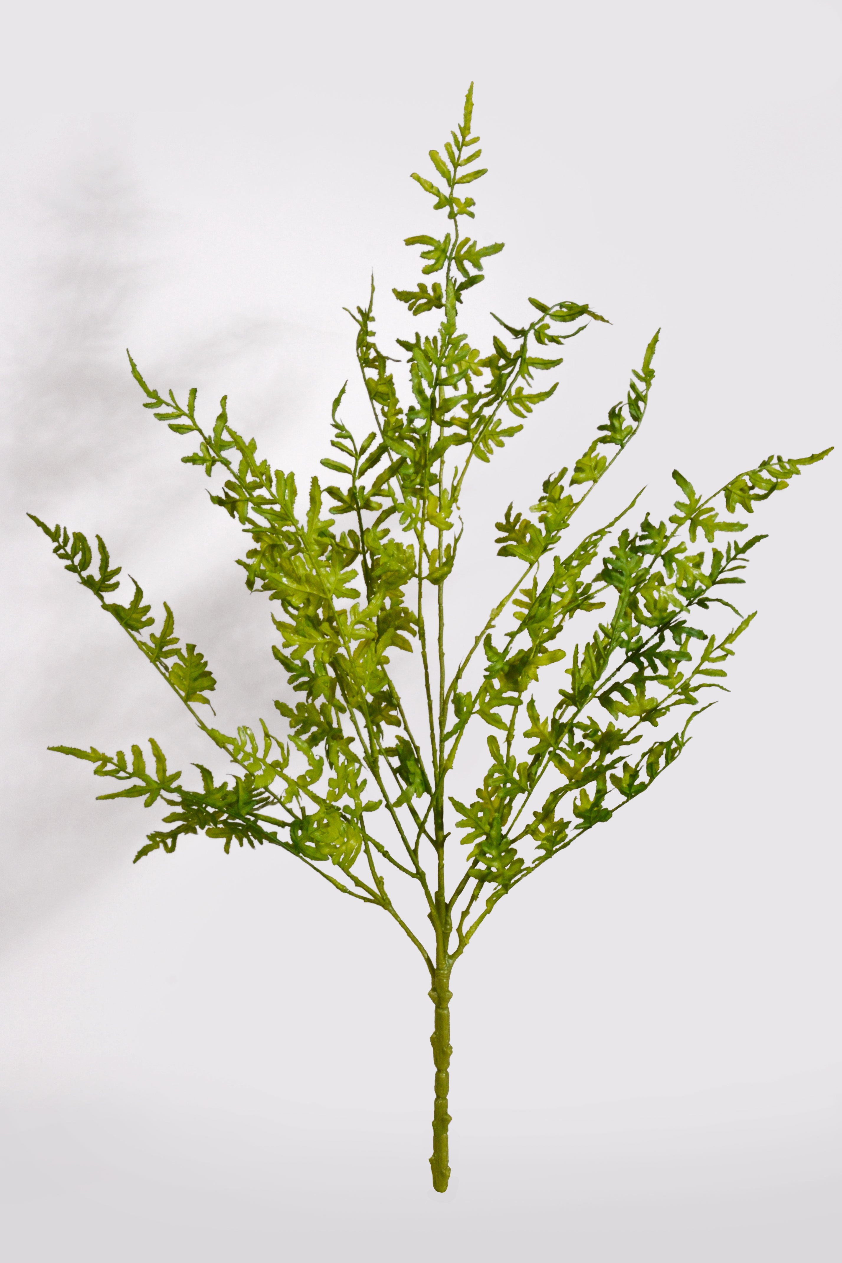 29" Artificial Pteridaceae Bush Green