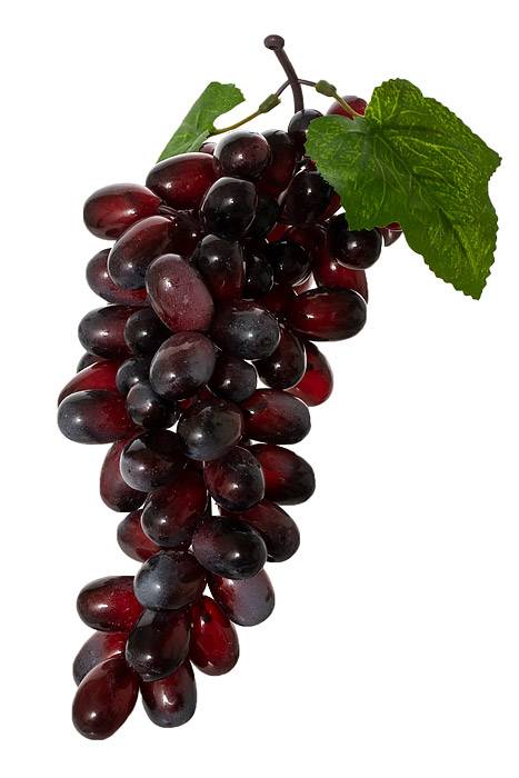 12" Grape W/leaf Burgundy/red