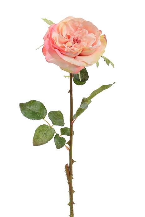 22" English Rose Spray Peach/cream