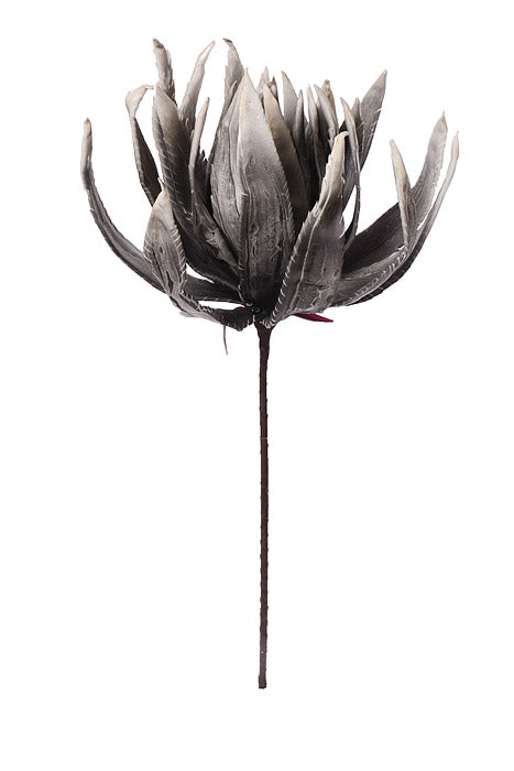 38" Foam Agave Stem Gray/White
