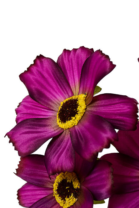 28" Silk Cosmos Spray Orchid