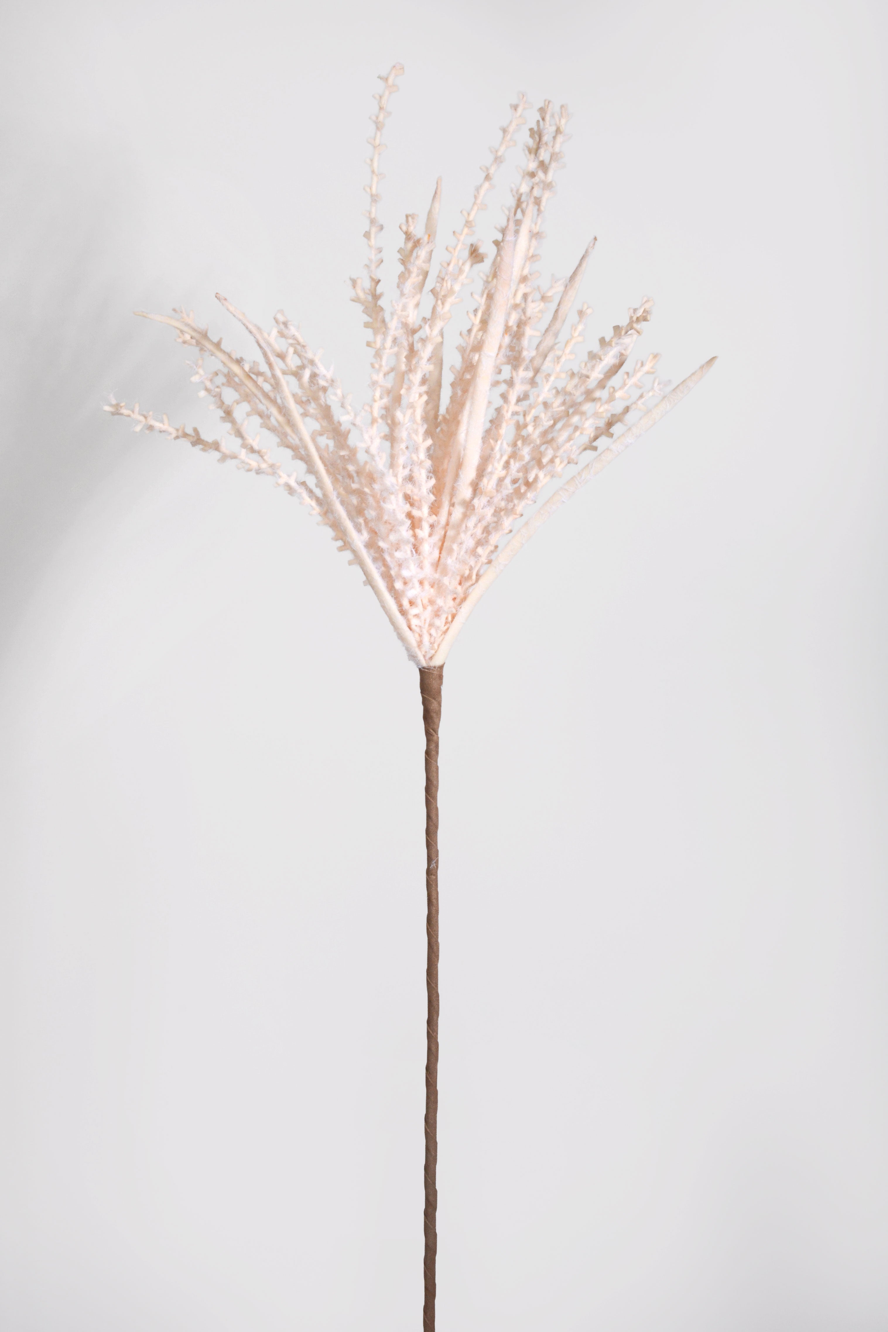 35" Pampas Stem Beige