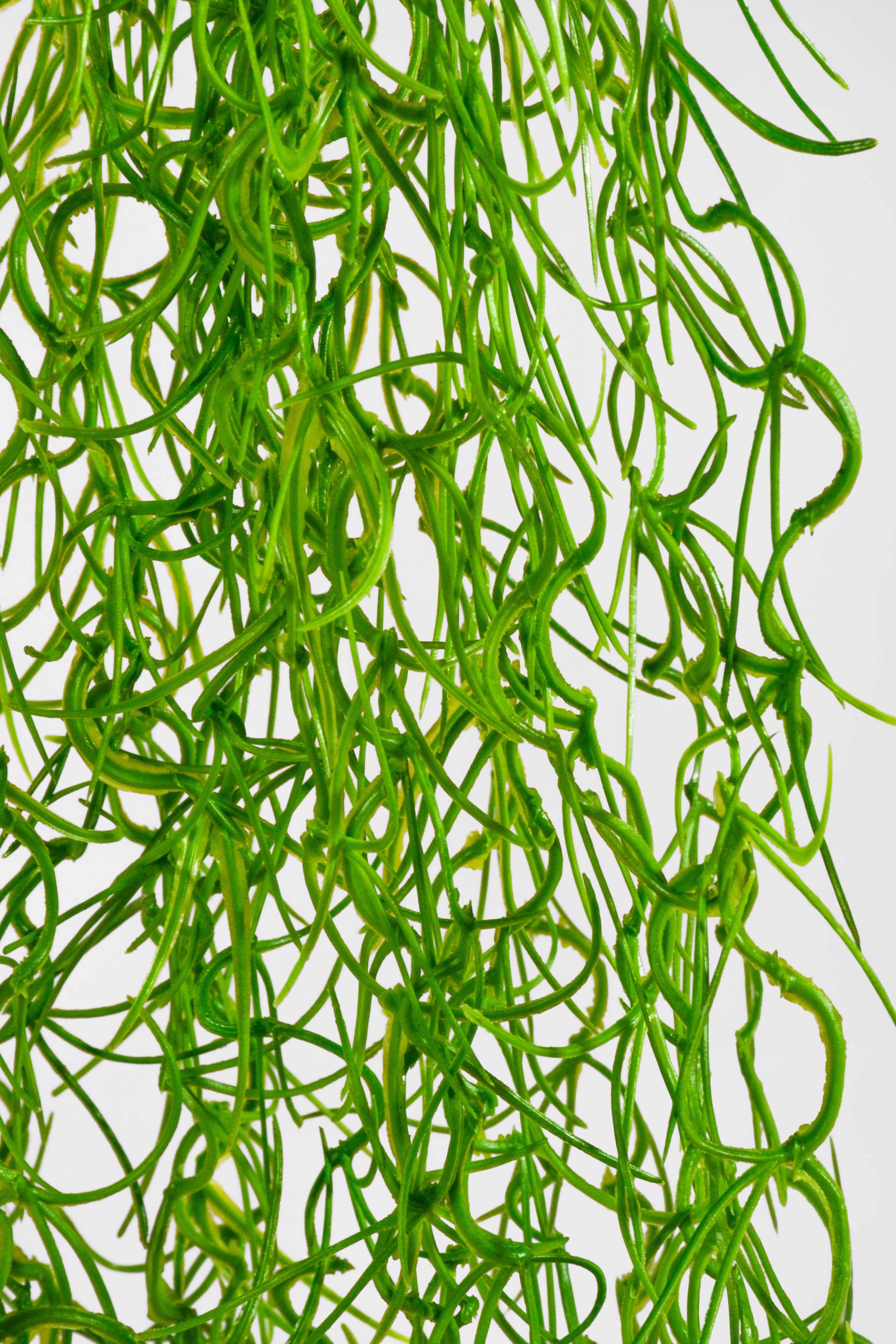 51" Moss Hanging Bush Green