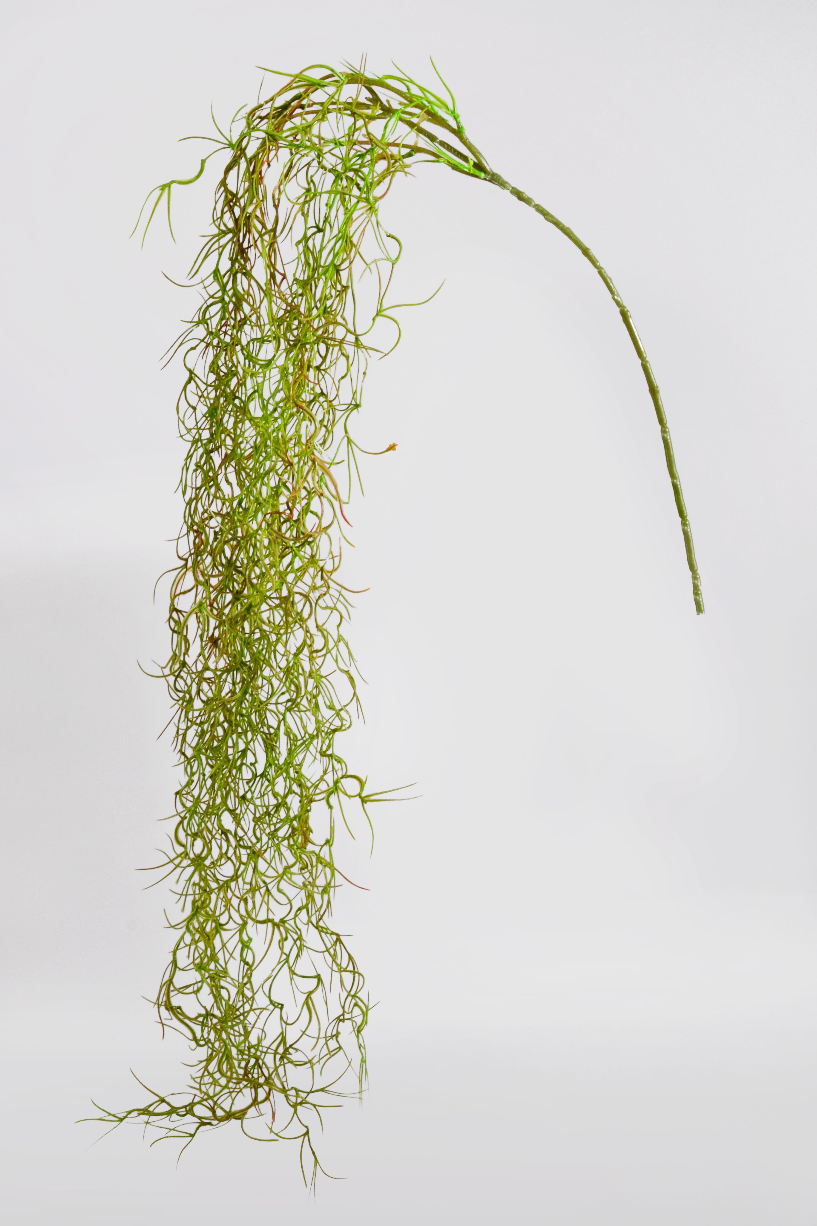 48" Moss Hanging Bush Natural