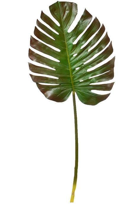 55" Monstera Leaf Spray Green / Brown
