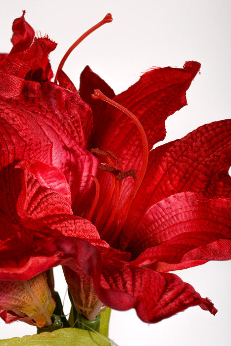 25.5" Silk Amaryllis Red