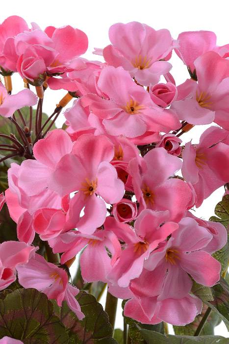 19" Silk Geranium Bush Pink
